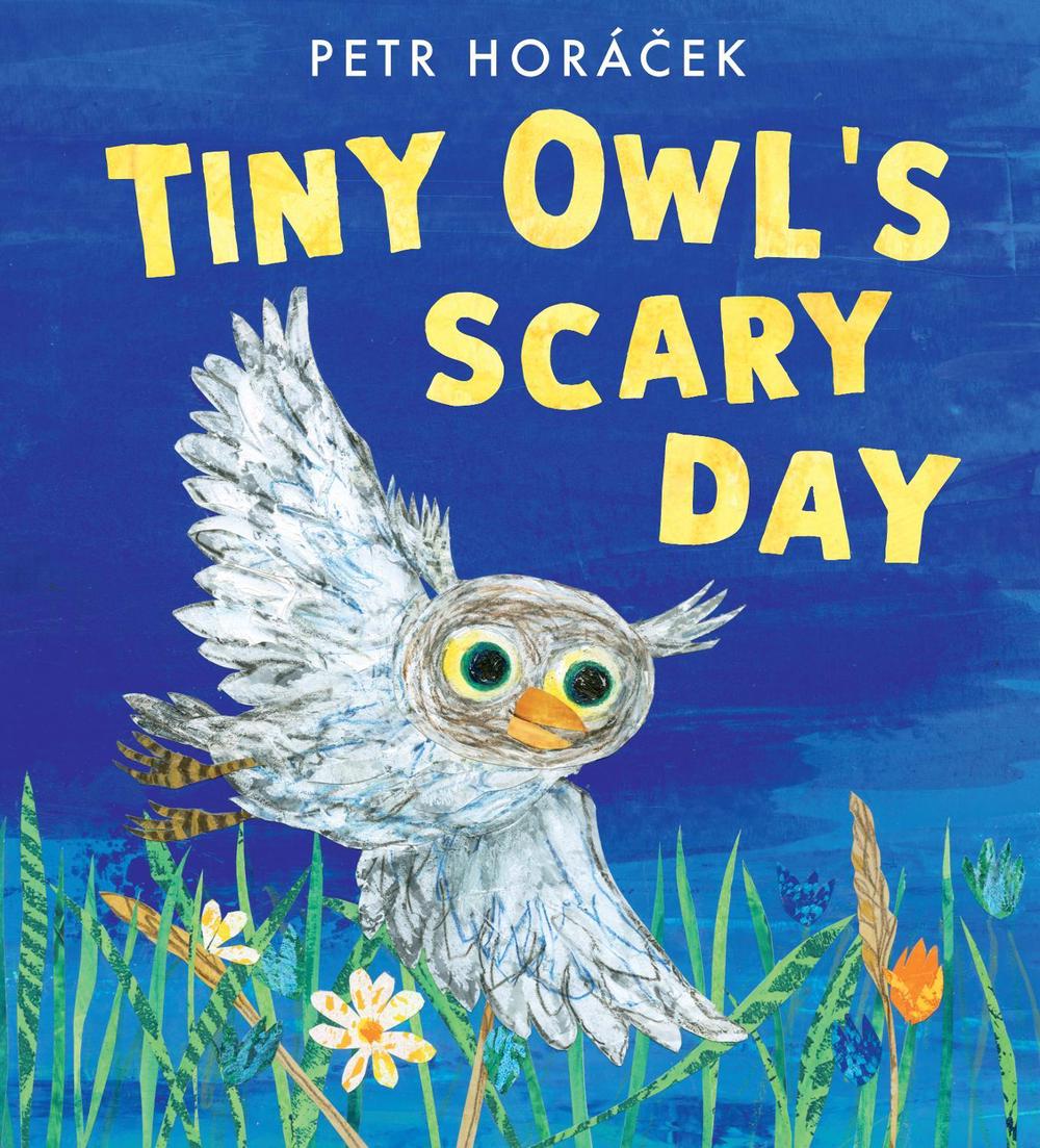 Tiny Owl's Scary Day by Petr Horácek - ISBN: 9781529509274