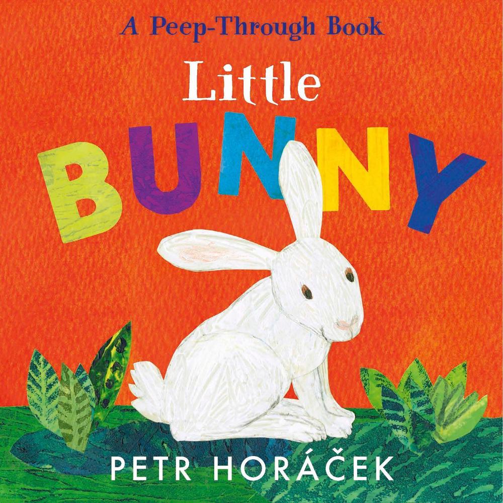 Little Bunny by Petr Horácek - ISBN: 9781529517354