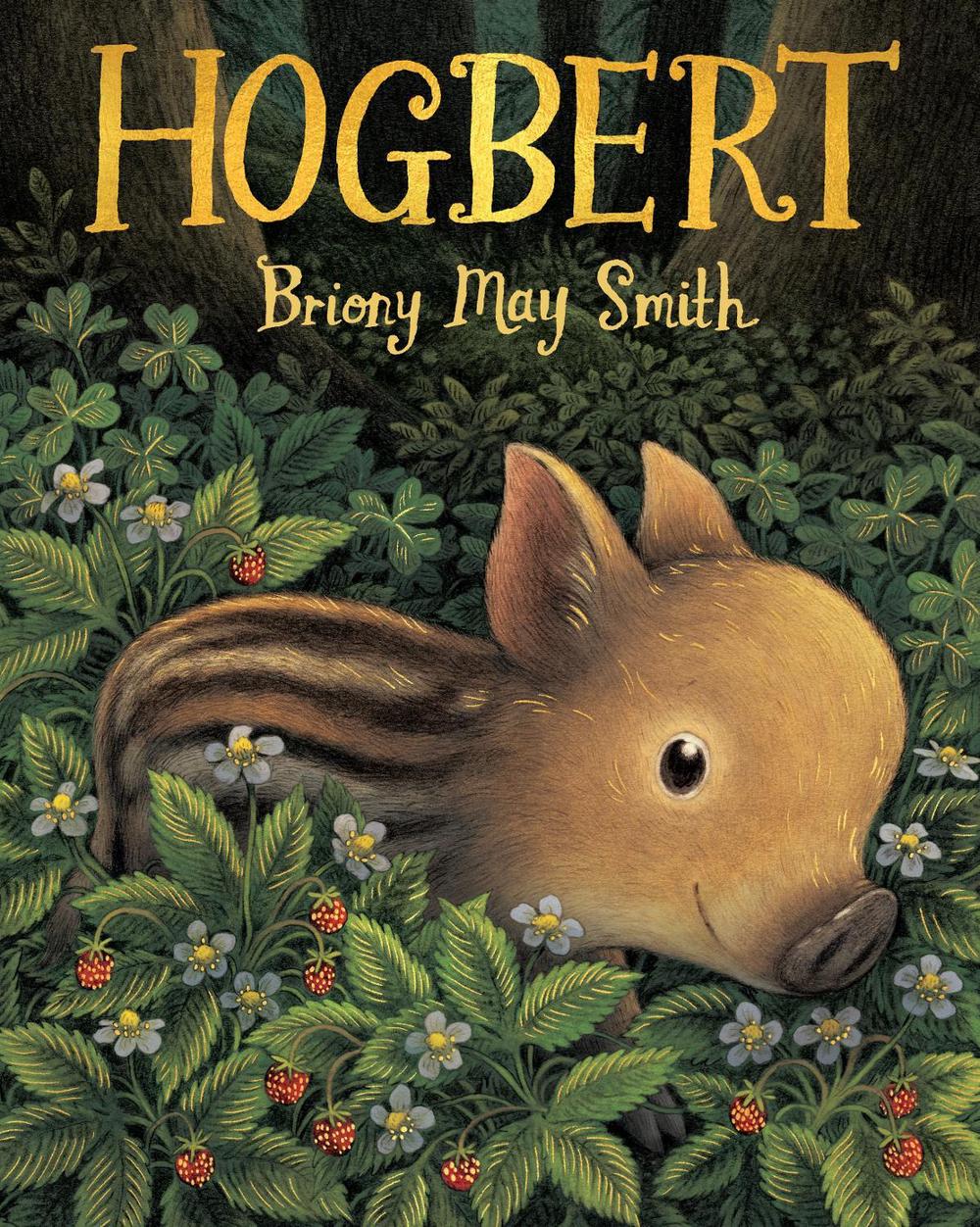 Hogbert by Briony May Smith - ISBN: 9781529518351