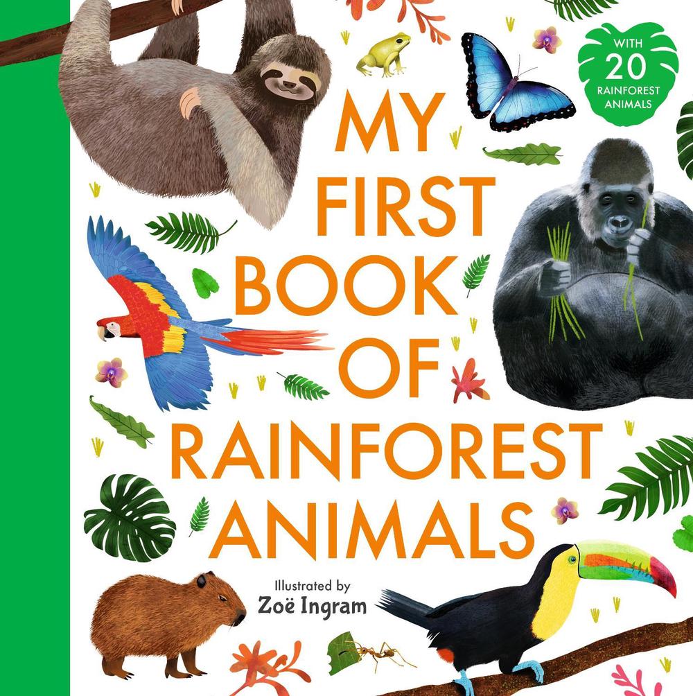 My First Book of Rainforest Animals by Zoë Ingram - ISBN: 9781529522181