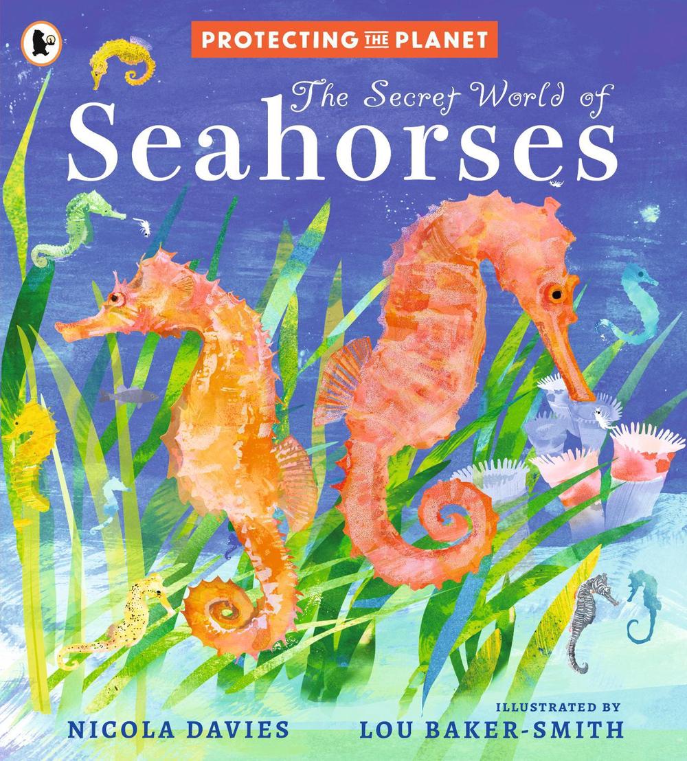 Protecting the Planet: The Secret World of Seahorses, 9781529522815