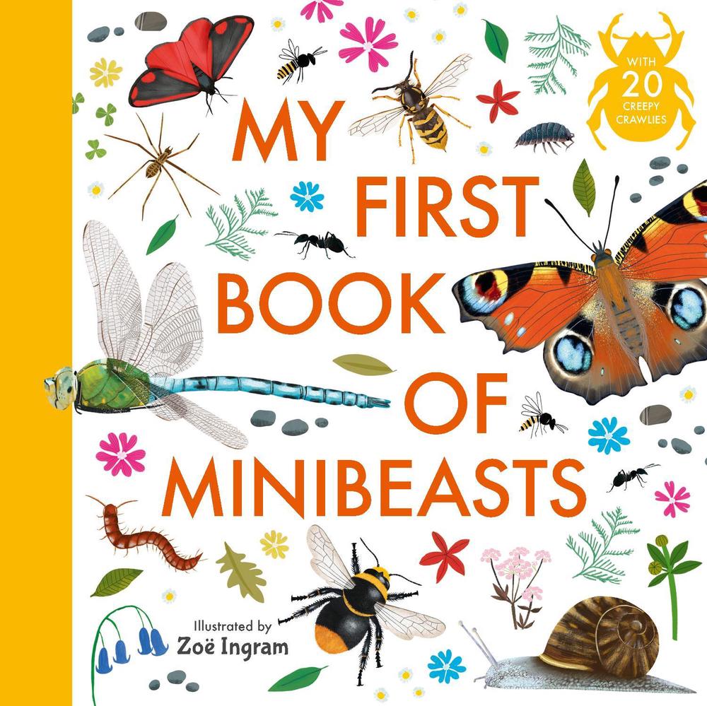 My First Book of Minibeasts by Zoë Ingram - ISBN: 9781529523492