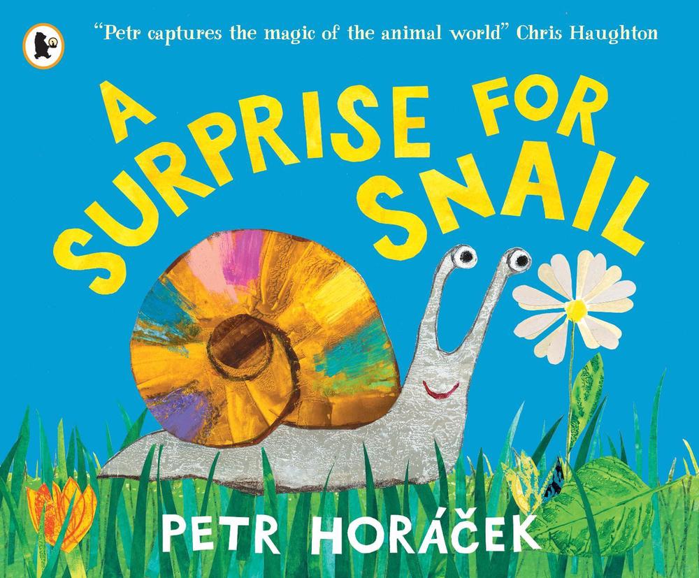 A Surprise for Snail by Petr Horácek - ISBN: 9781529525502