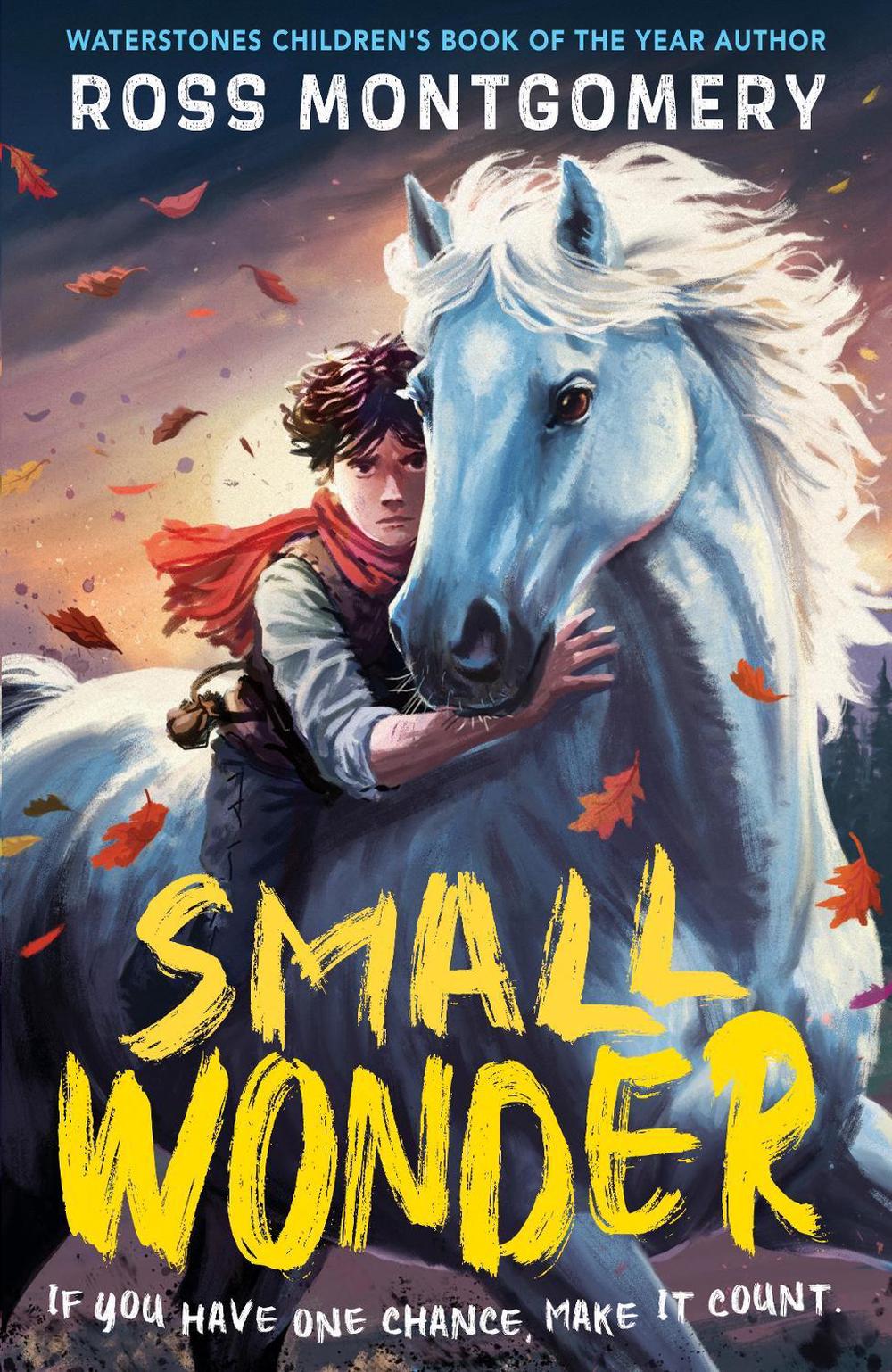 Small Wonder by Ross Montgomery - ISBN: 9781529526127