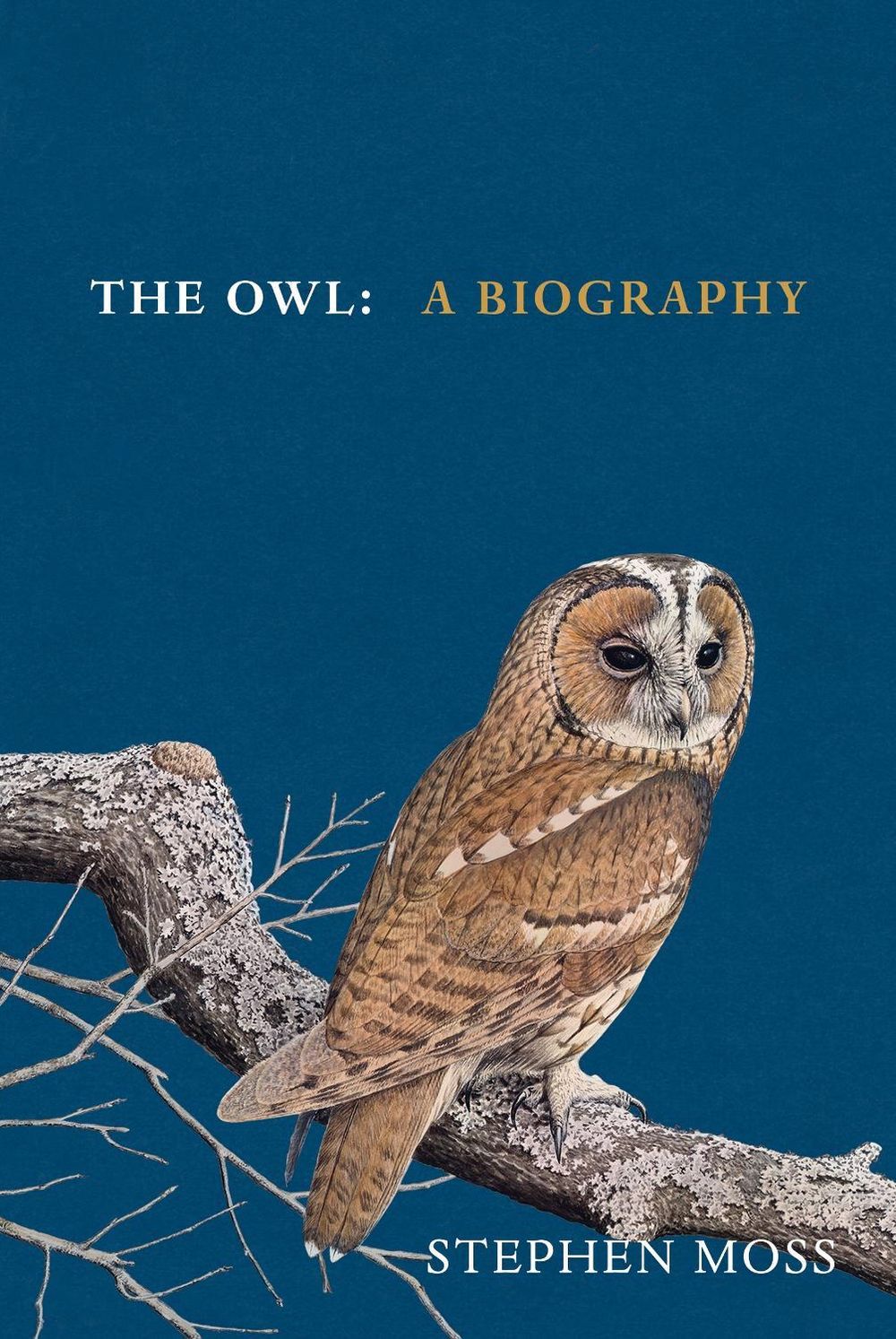 The Owl by Stephen Moss - ISBN: 9781529908268