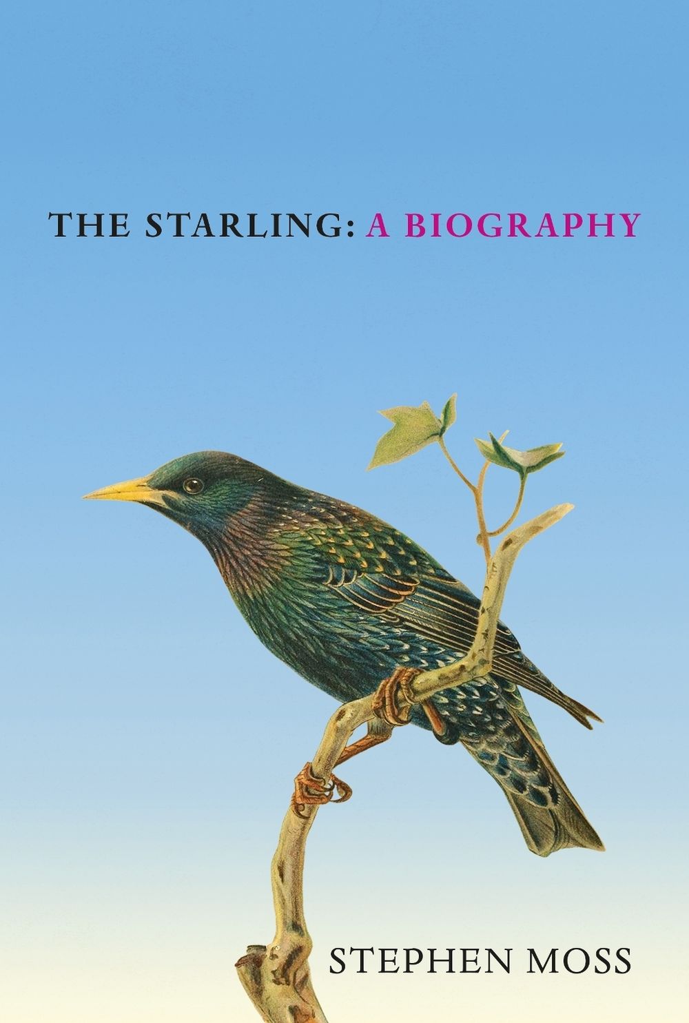 The Starling by Stephen Moss - ISBN: 9781529908282