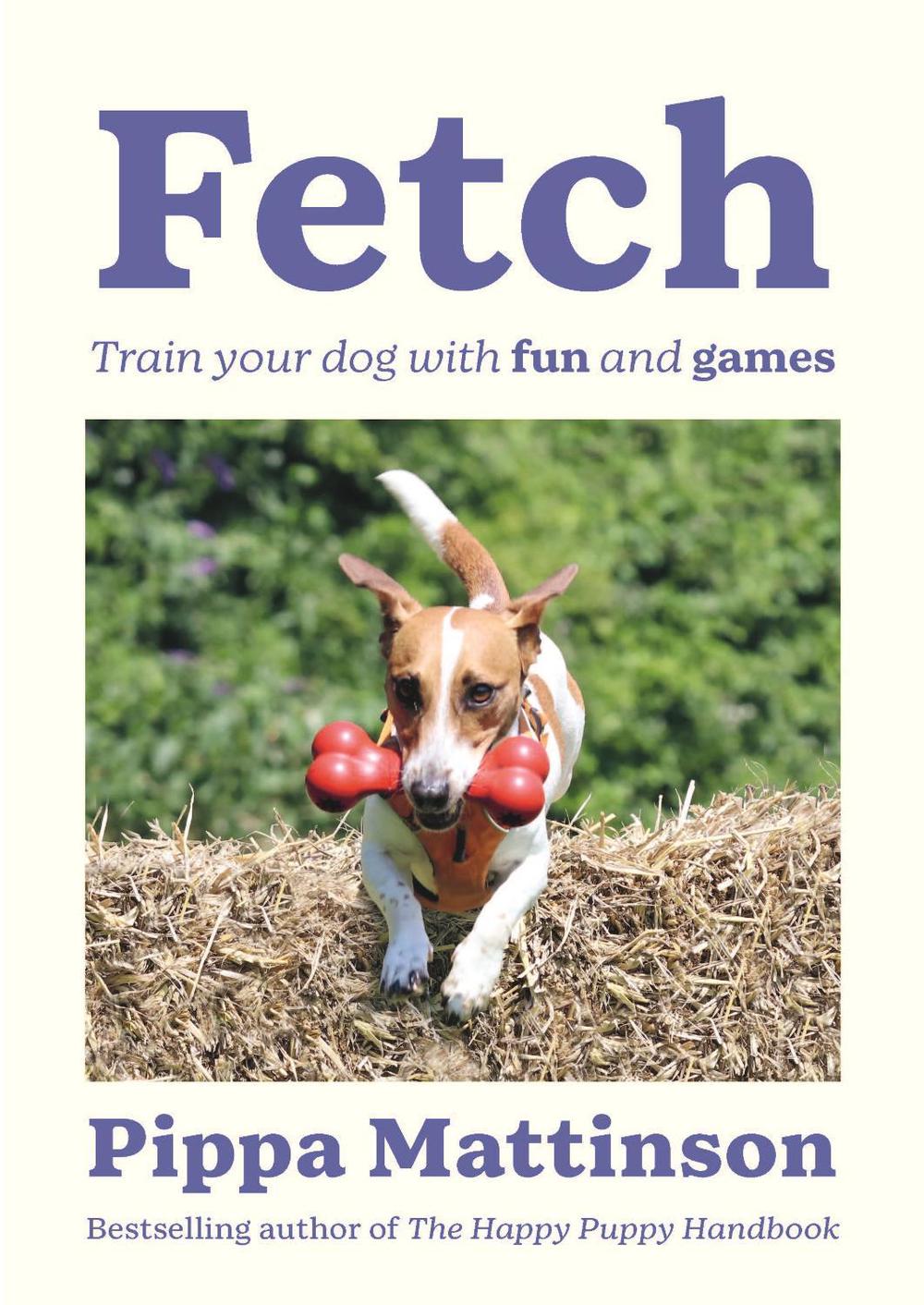 Fetch, 9781529909173
