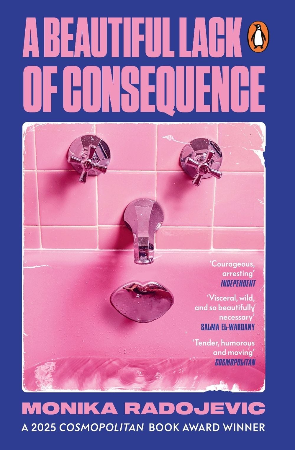 A Beautiful Lack of Consequence by Monika Radojevic - ISBN: 9781529918724
