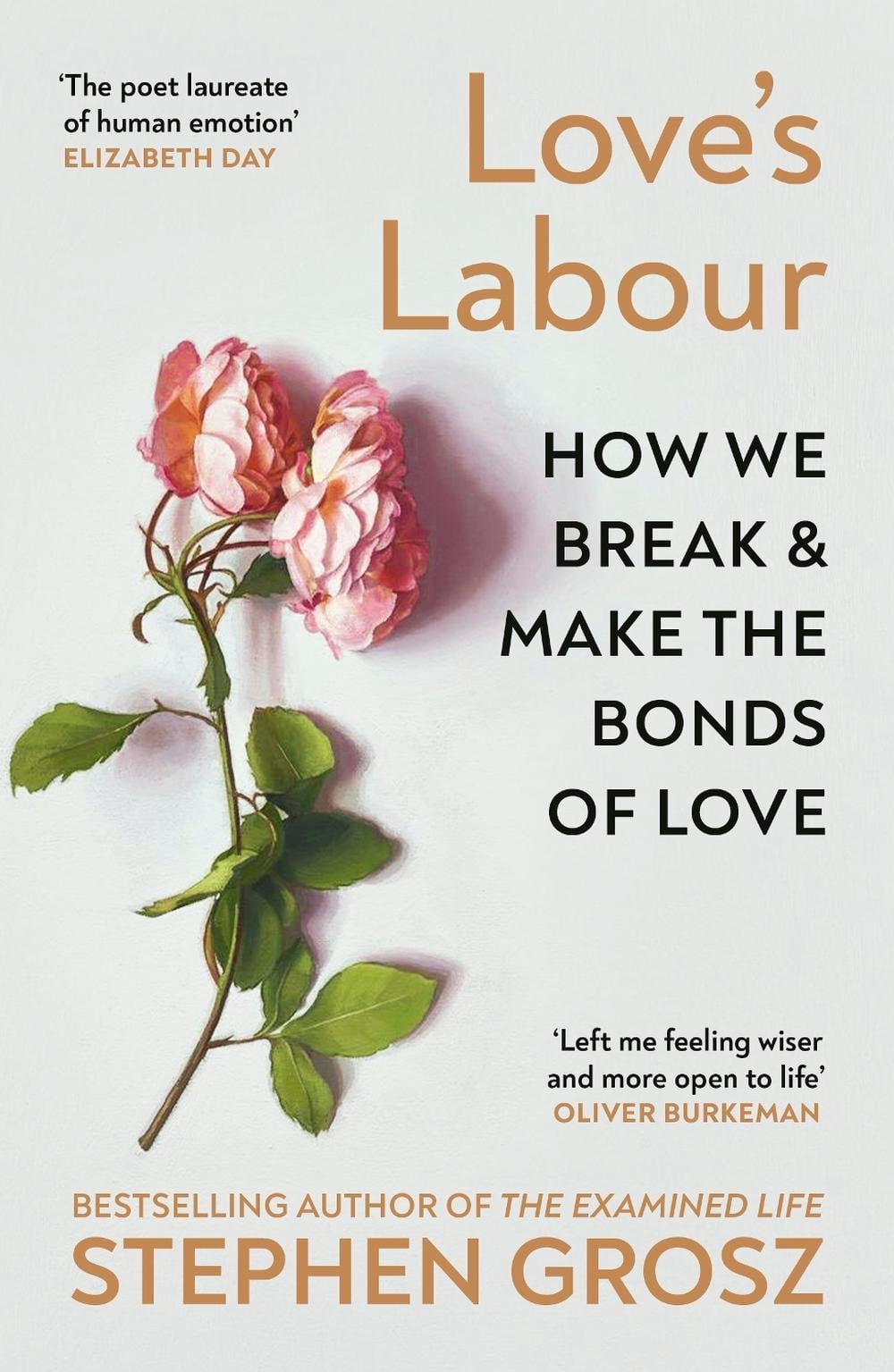 Love’s Labour by Stephen Grosz - ISBN: 9781529932416