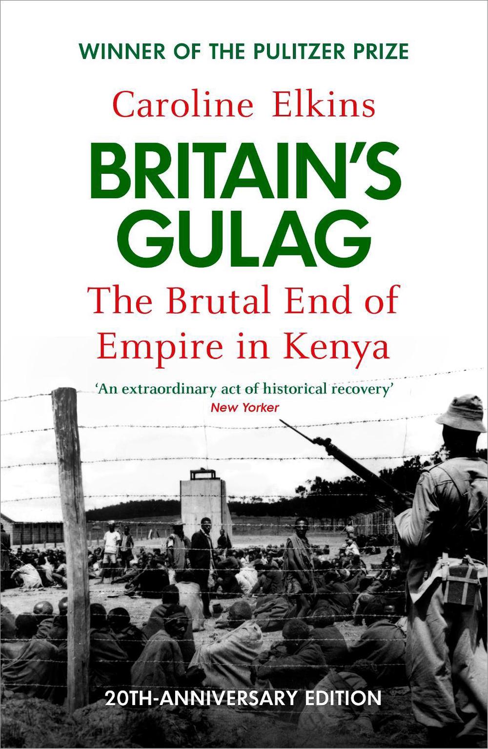 Britain's Gulag, 9781529946185