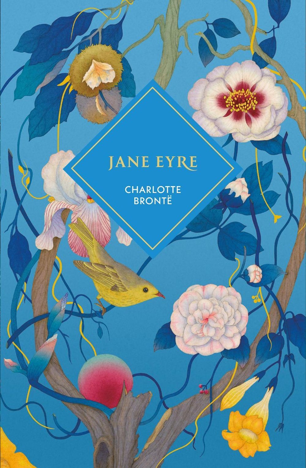 Jane Eyre by Charlotte Brontë - ISBN: 9781529954227