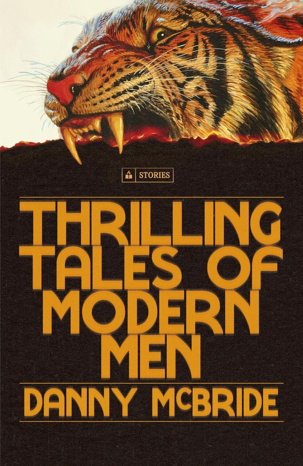 Thrilling Tales of Modern Men by Danny McBride - ISBN: 9781529999020