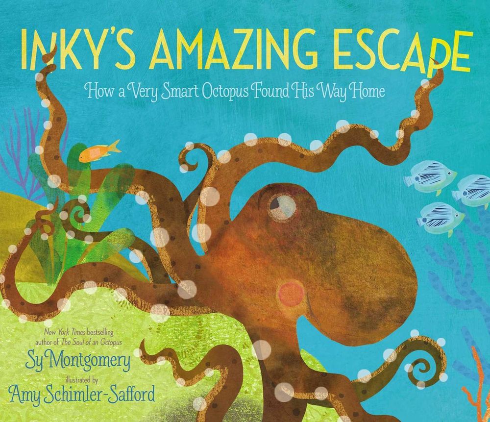 Inky's Amazing Escape by Sy Montgomery - ISBN: 9781534401914
