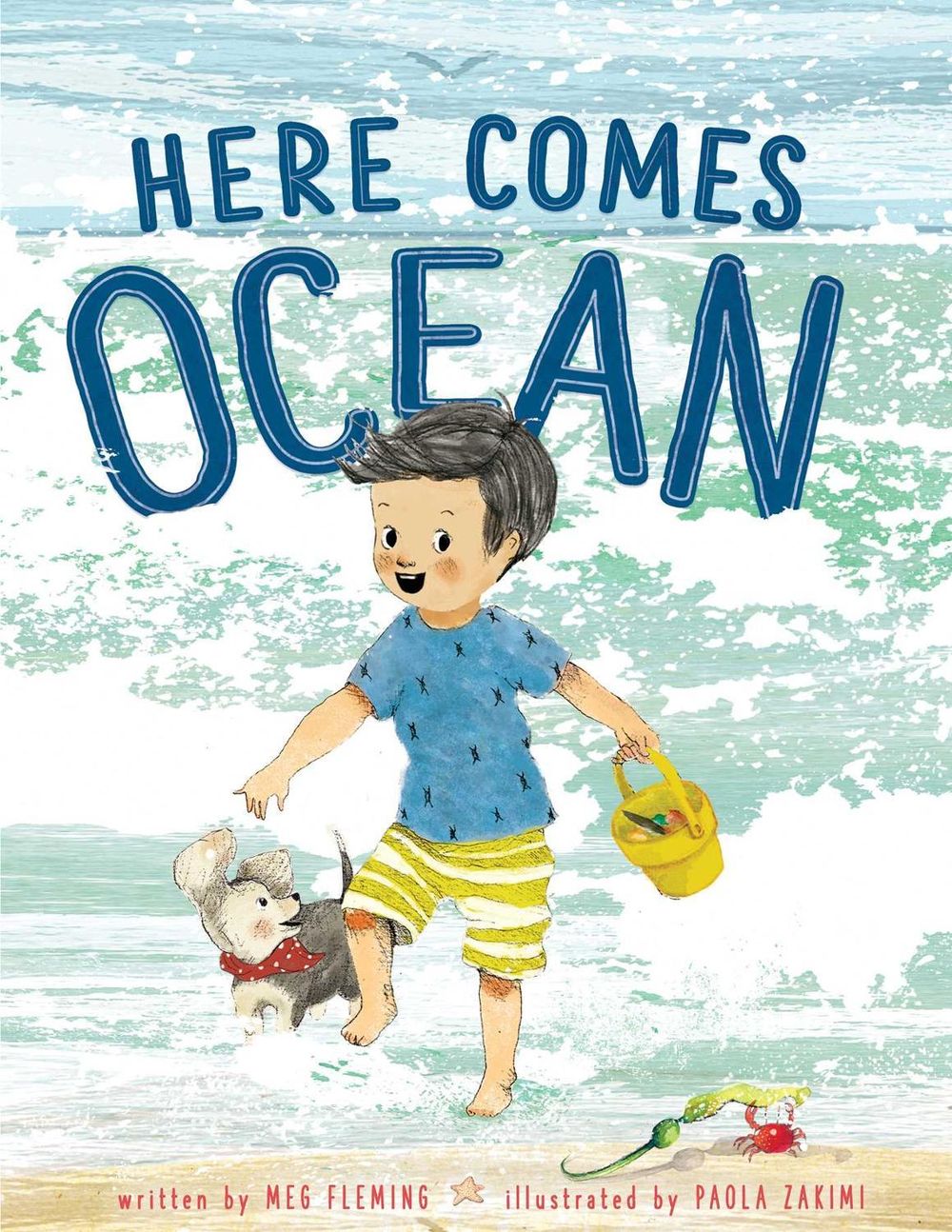 Here Comes Ocean by Meg Fleming - ISBN: 9781534428836
