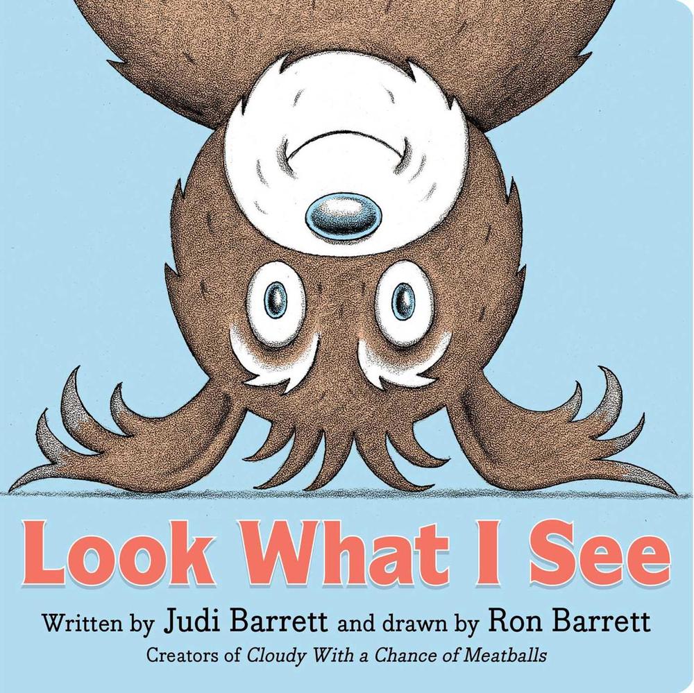 Look What I See by Judi Barrett - ISBN: 9781534430730
