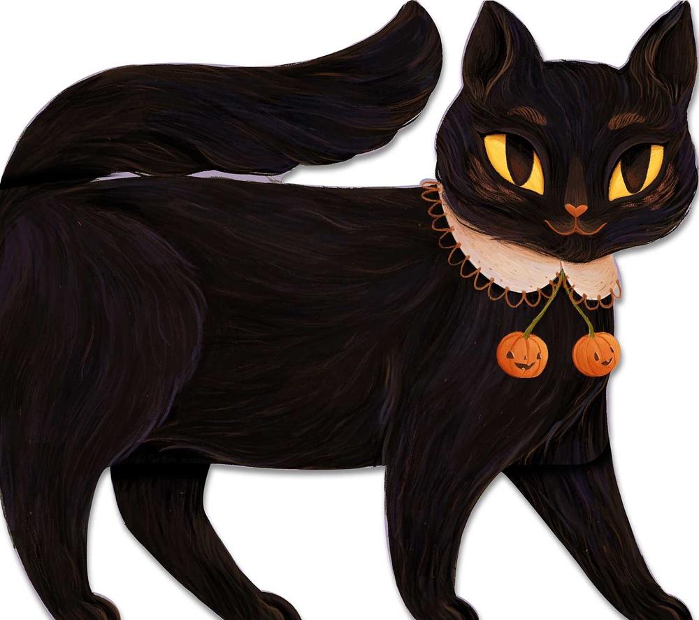 One Black Cat by Robie Rogge - ISBN: 9781534464049
