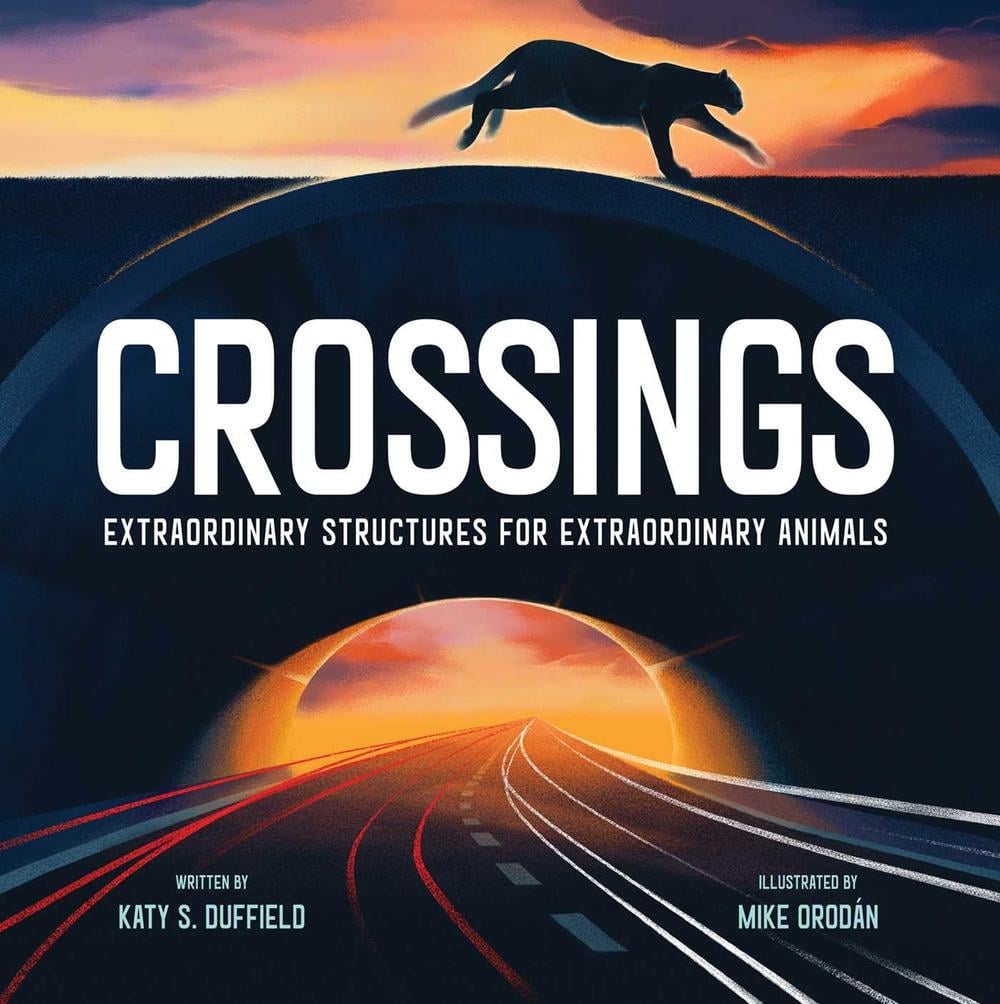 Crossings by Katy S. Duffield - ISBN: 9781534465794