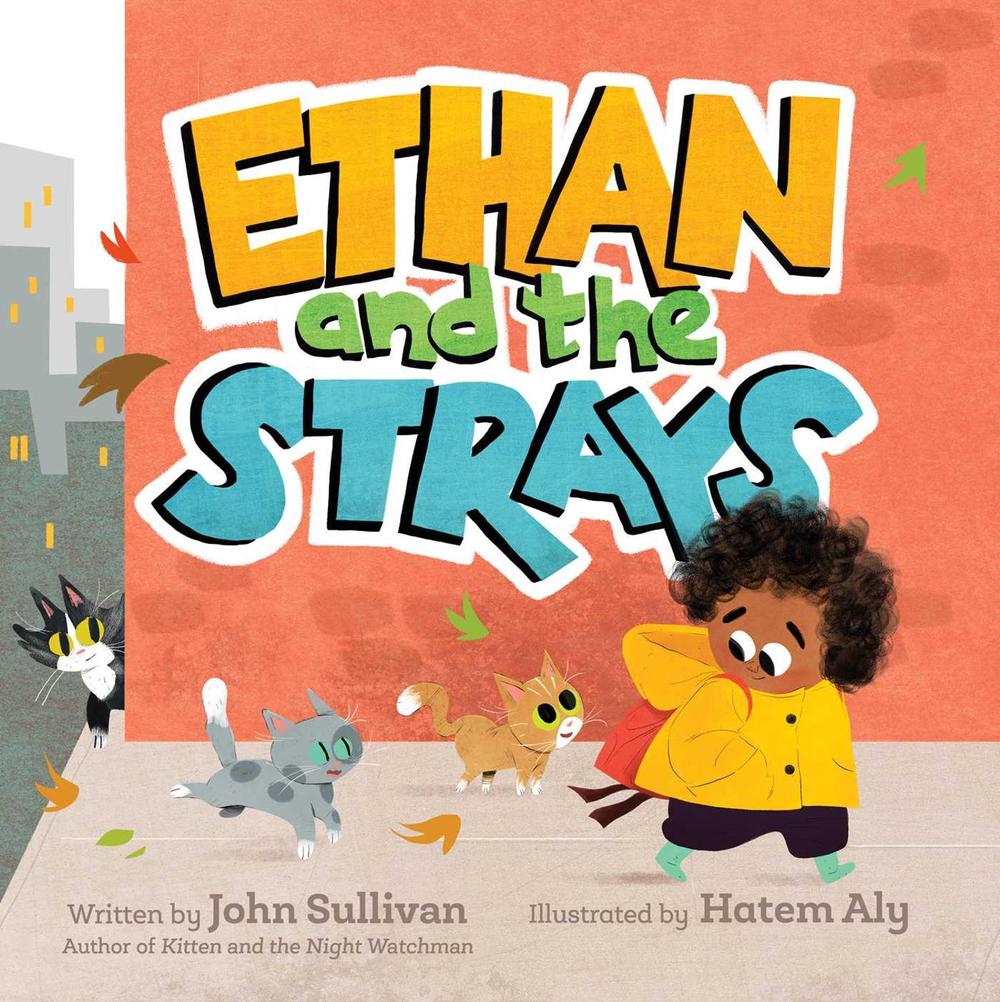 Ethan and the Strays by John Sullivan - ISBN: 9781534471320