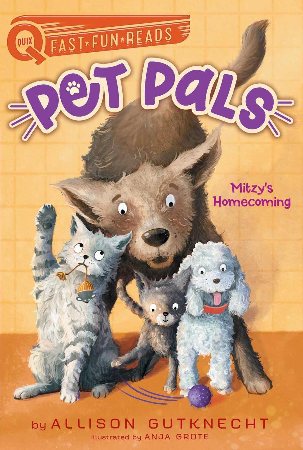 Mitzy's Homecoming by Allison Gutknecht - ISBN: 9781534473980