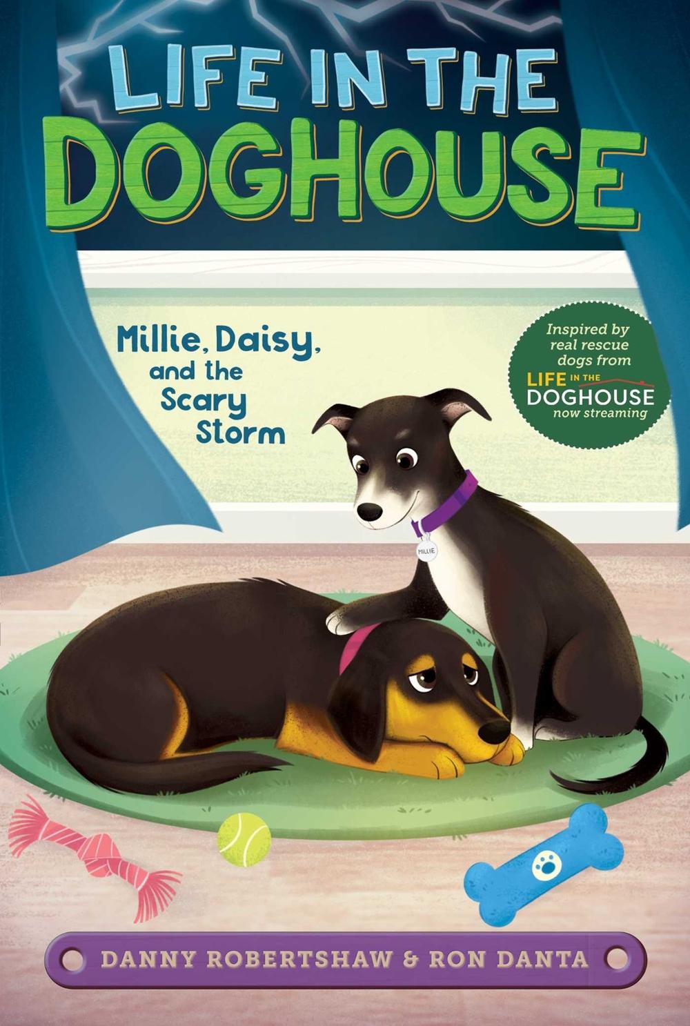Millie, Daisy, and the Scary Storm by Danny Robertshaw - ISBN: 9781534482685