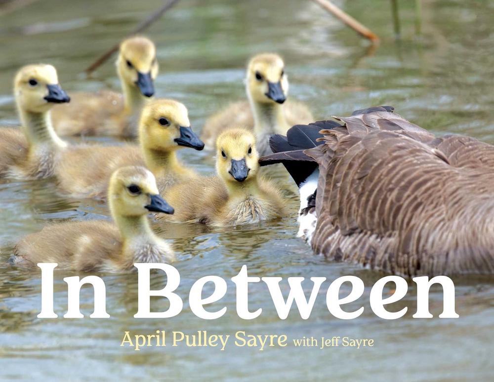 In Between by April Pulley Sayre - ISBN: 9781534487819