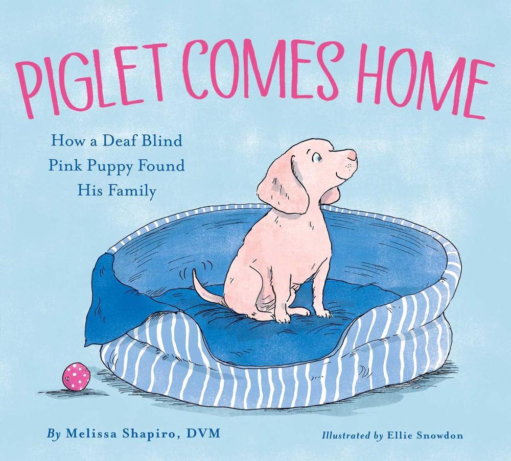 Piglet Comes Home by Melissa Shapiro - ISBN: 9781534490185