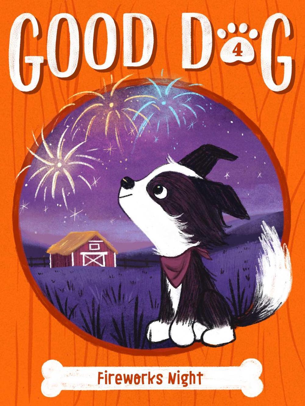 Fireworks Night by Cam Higgins - ISBN: 9781534495319