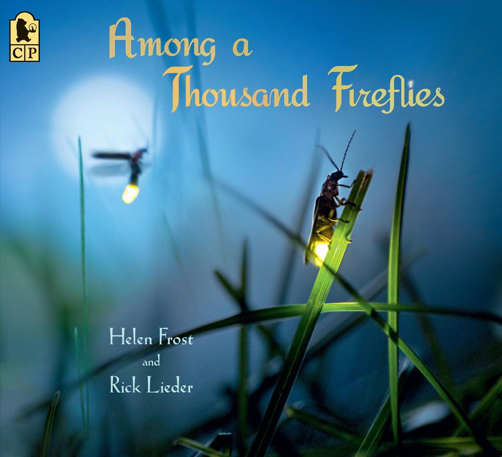 Among a Thousand Fireflies by Helen Frost - ISBN: 9781536205626