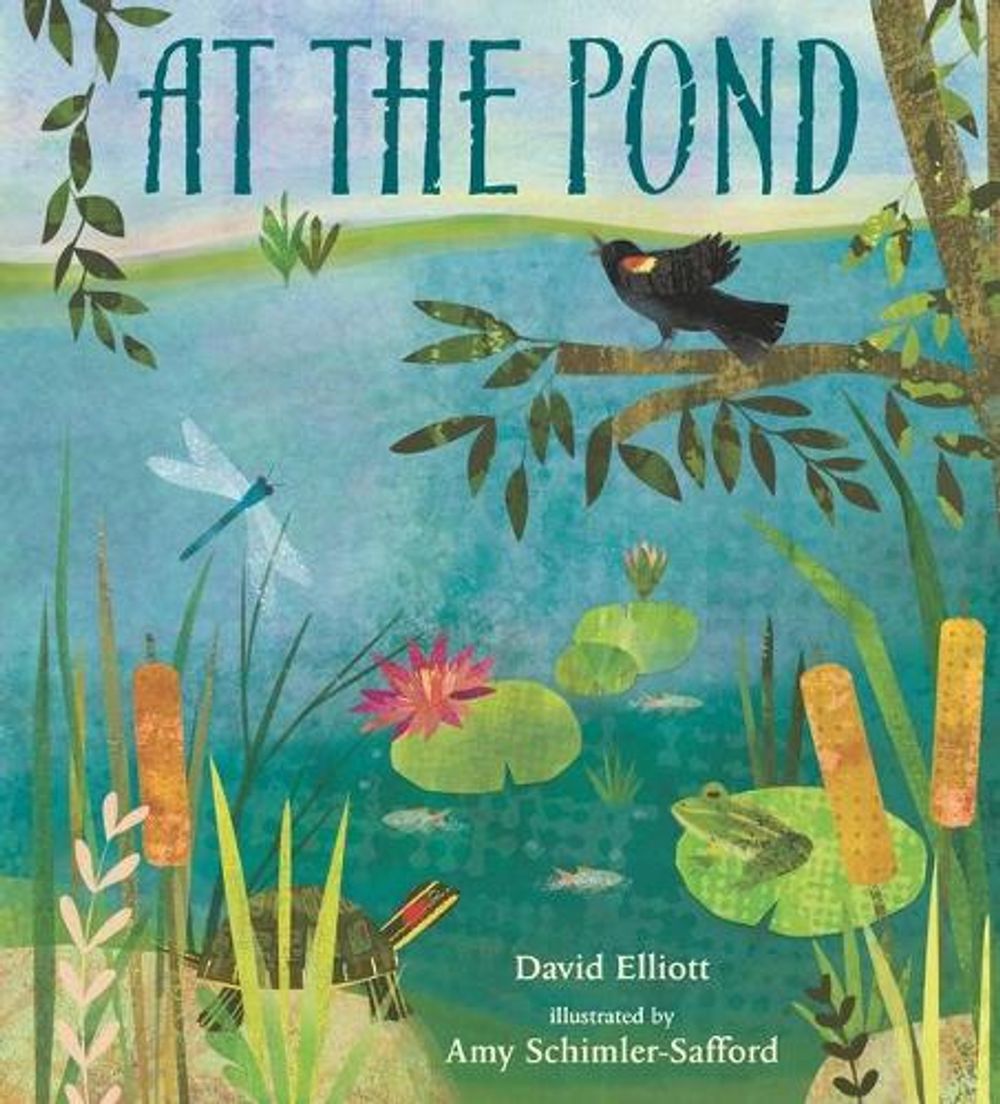 At the Pond by David Elliott - ISBN: 9781536205985