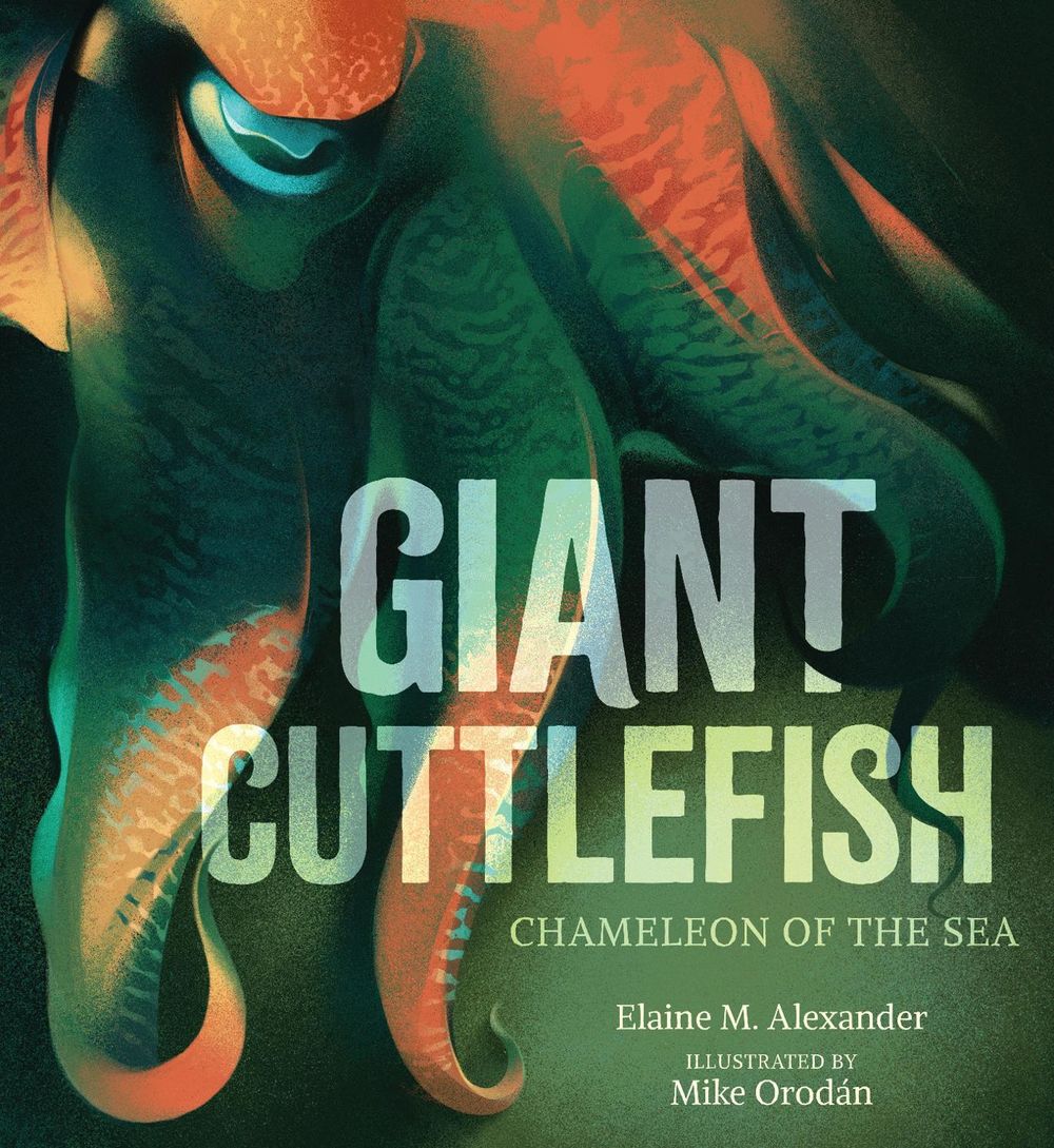 Giant Cuttlefish: Chameleon of the Sea by Elaine M. Alexander - ISBN: 9781536229684