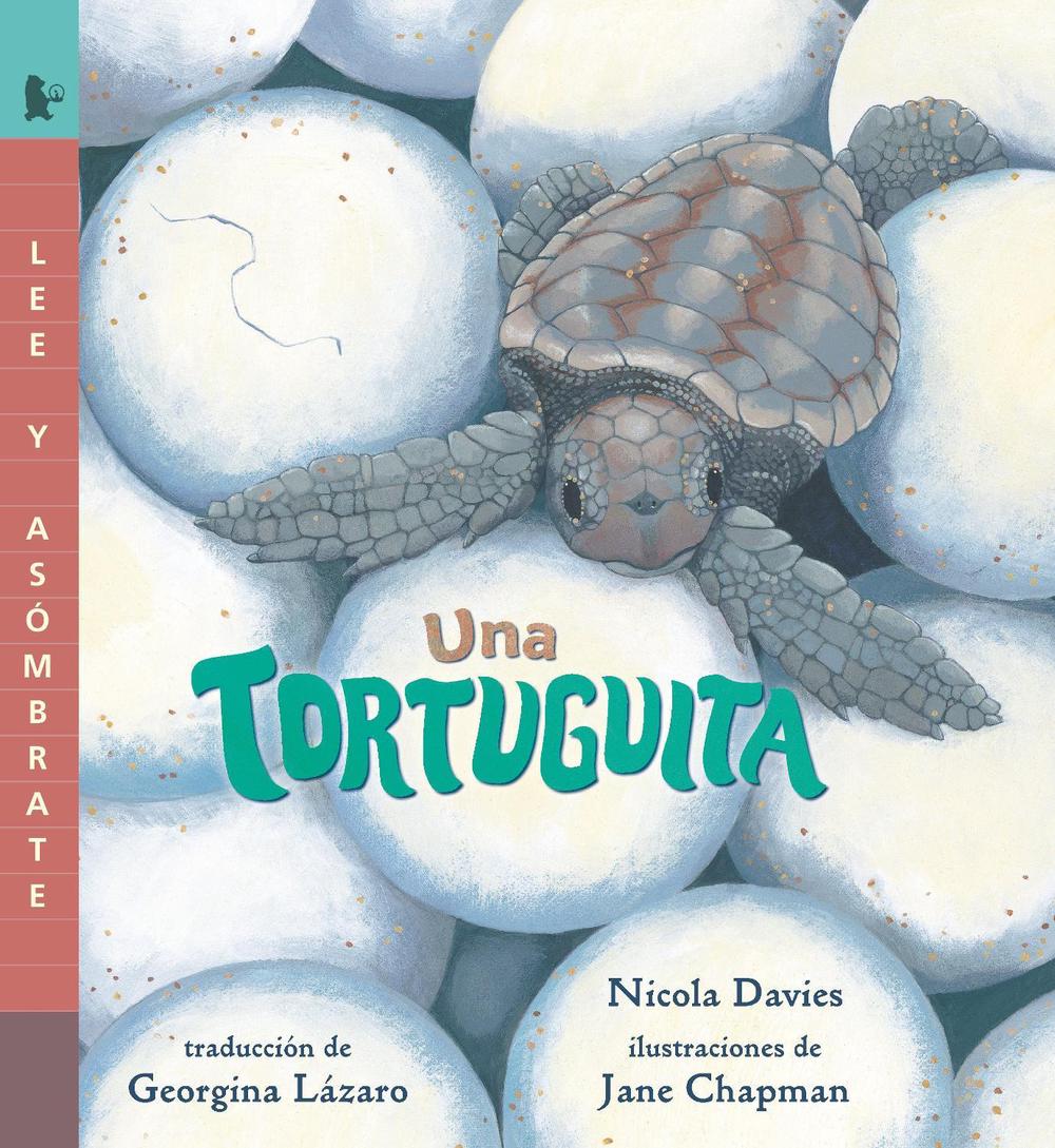 Una tortuguita, 9781536234756