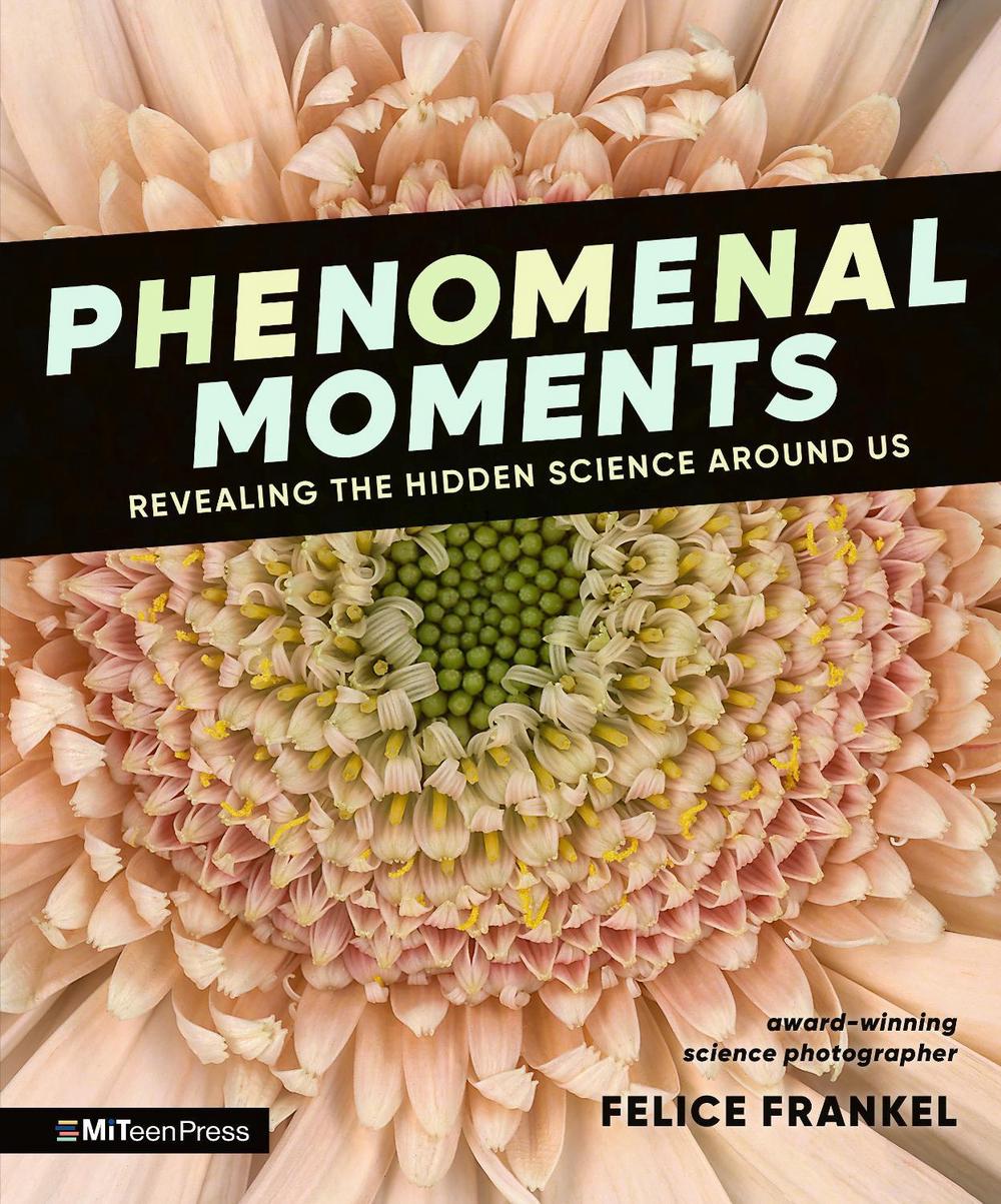 Phenomenal Moments: Revealing the Hidden Science Around Us, 9781536234893