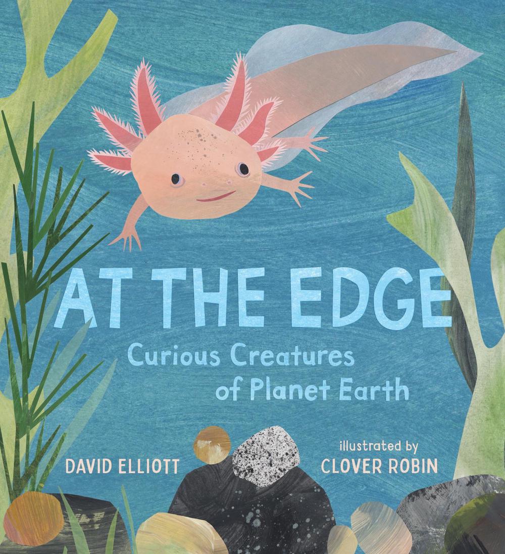 At the Edge: Curious Creatures of Planet Earth by David Elliott - ISBN: 9781536235258