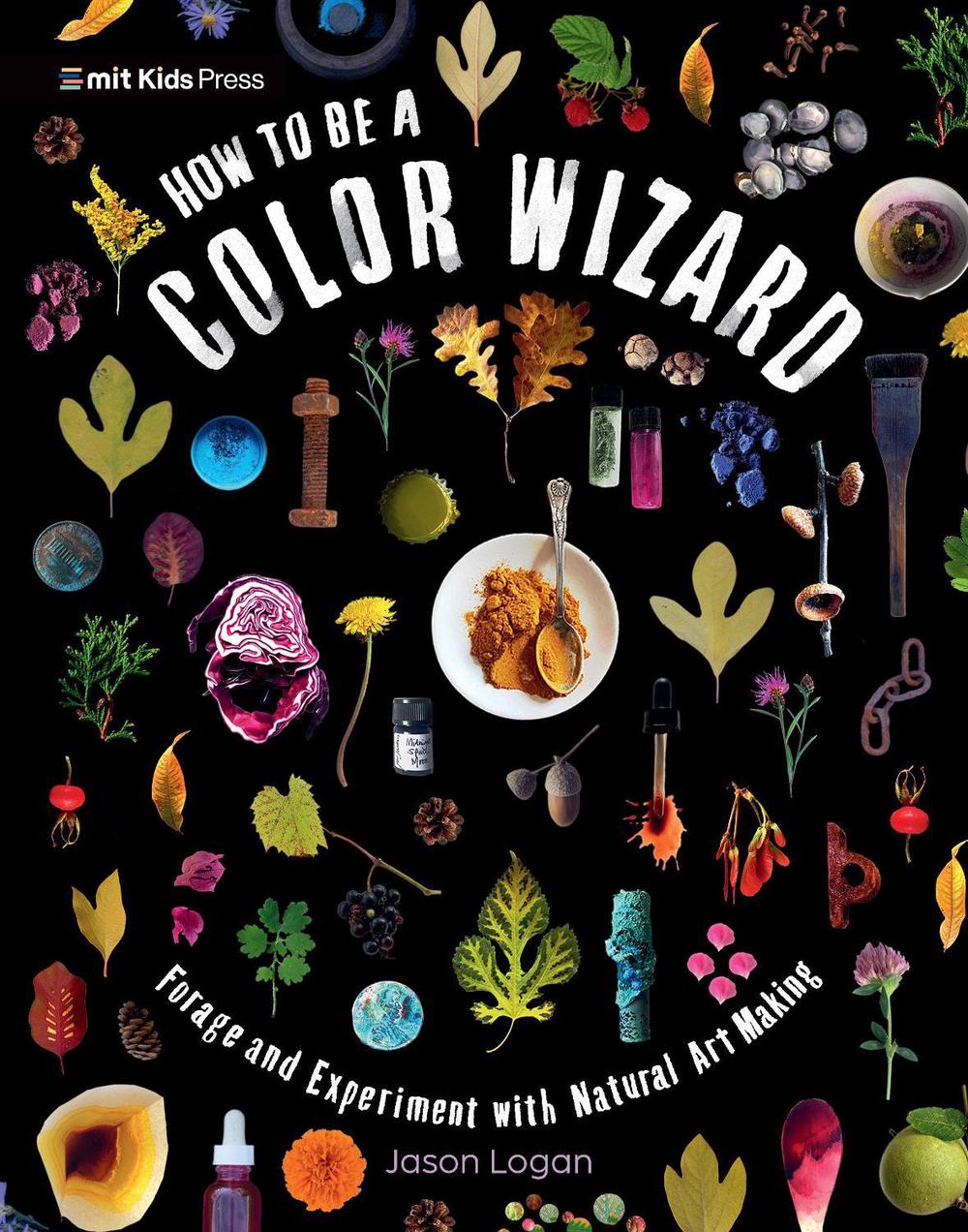 How to Be a Color Wizard: Forage and Experiment with Natural Art Making, 9781536239751