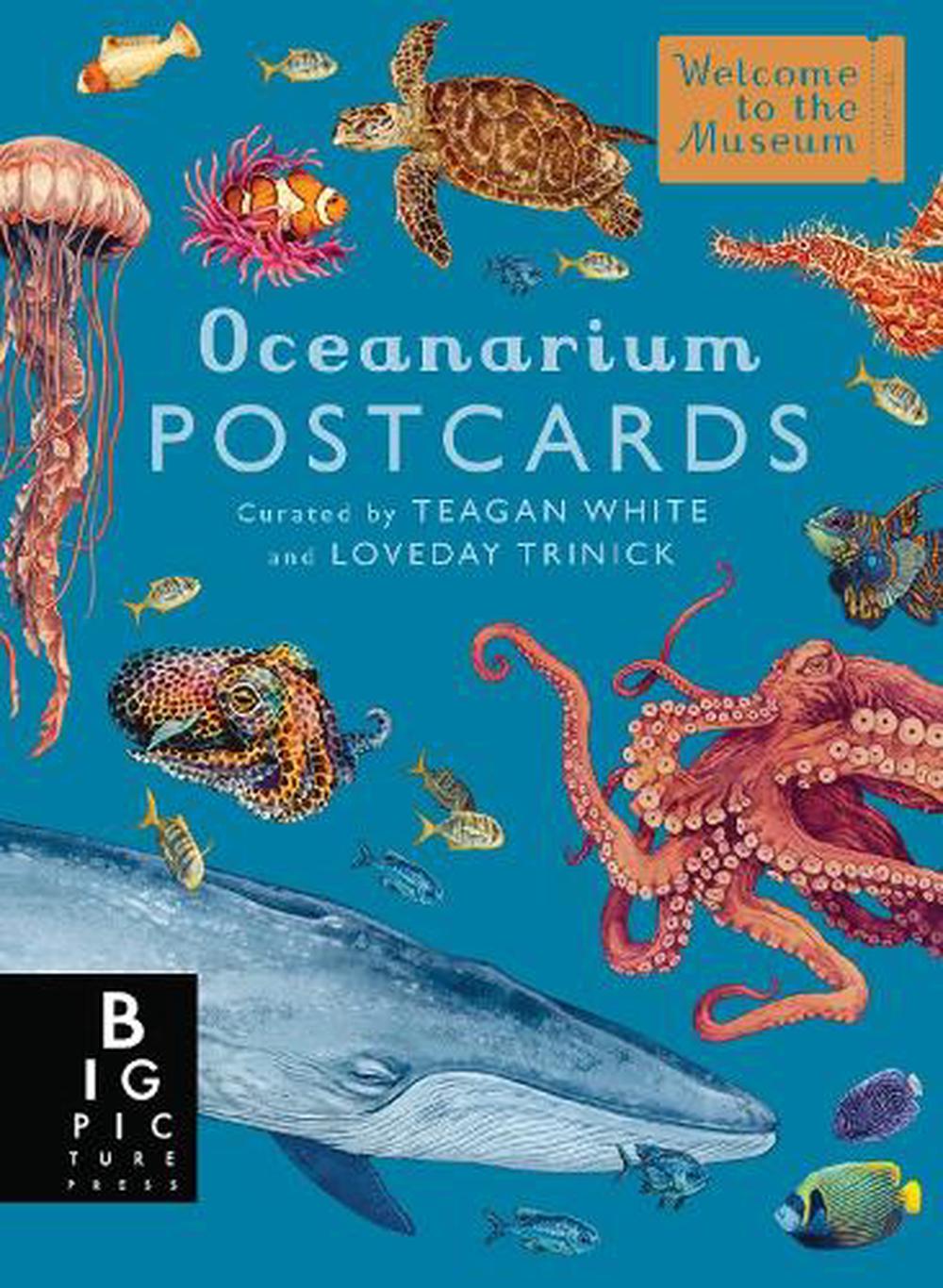 Oceanarium Postcard Box Set, 9781536241150