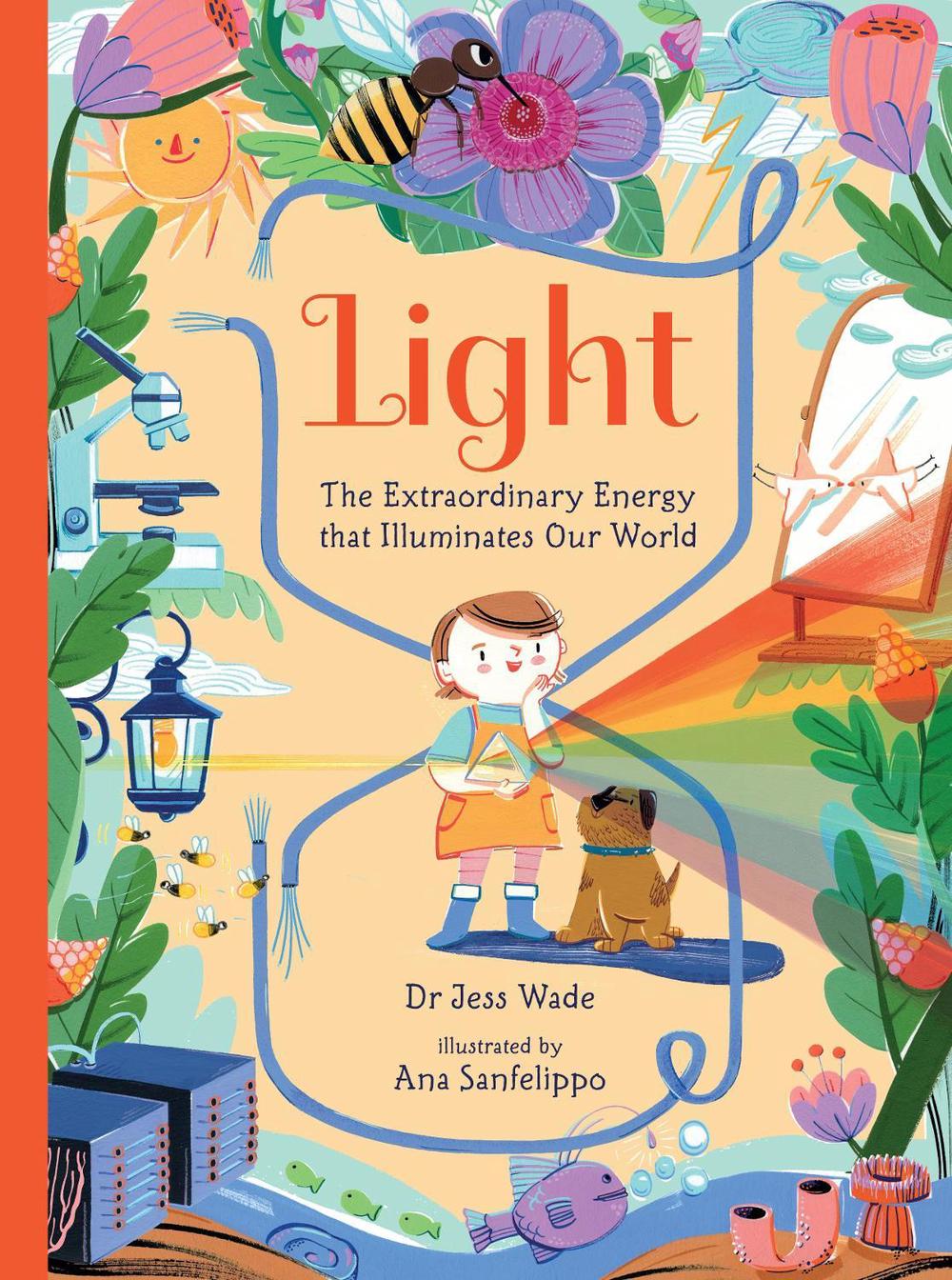 Light: The Extraordinary Energy That Illuminates Our World, 9781536243635