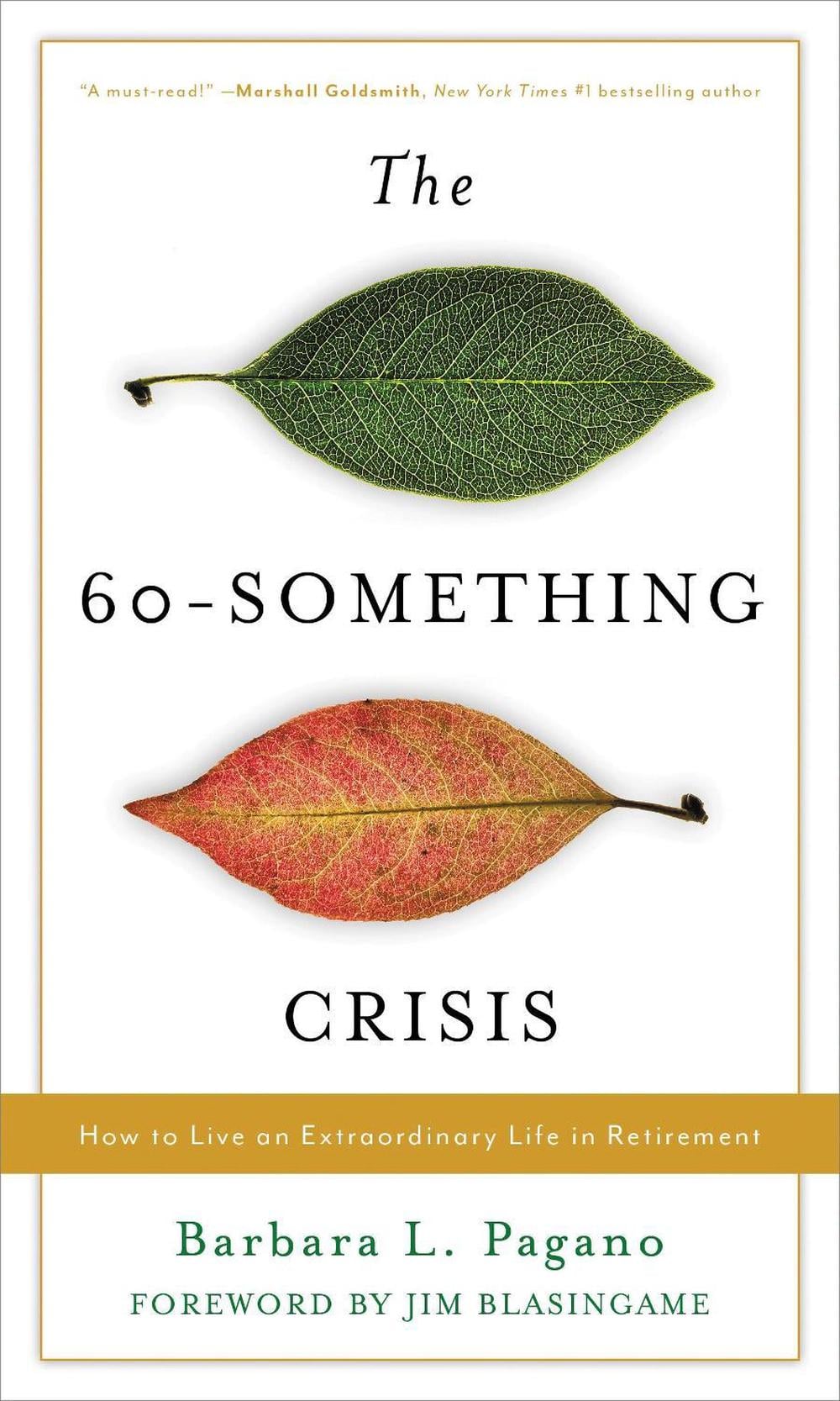 The 60-Something Crisis by Barbara L. Pagano - ISBN: 9781538155752