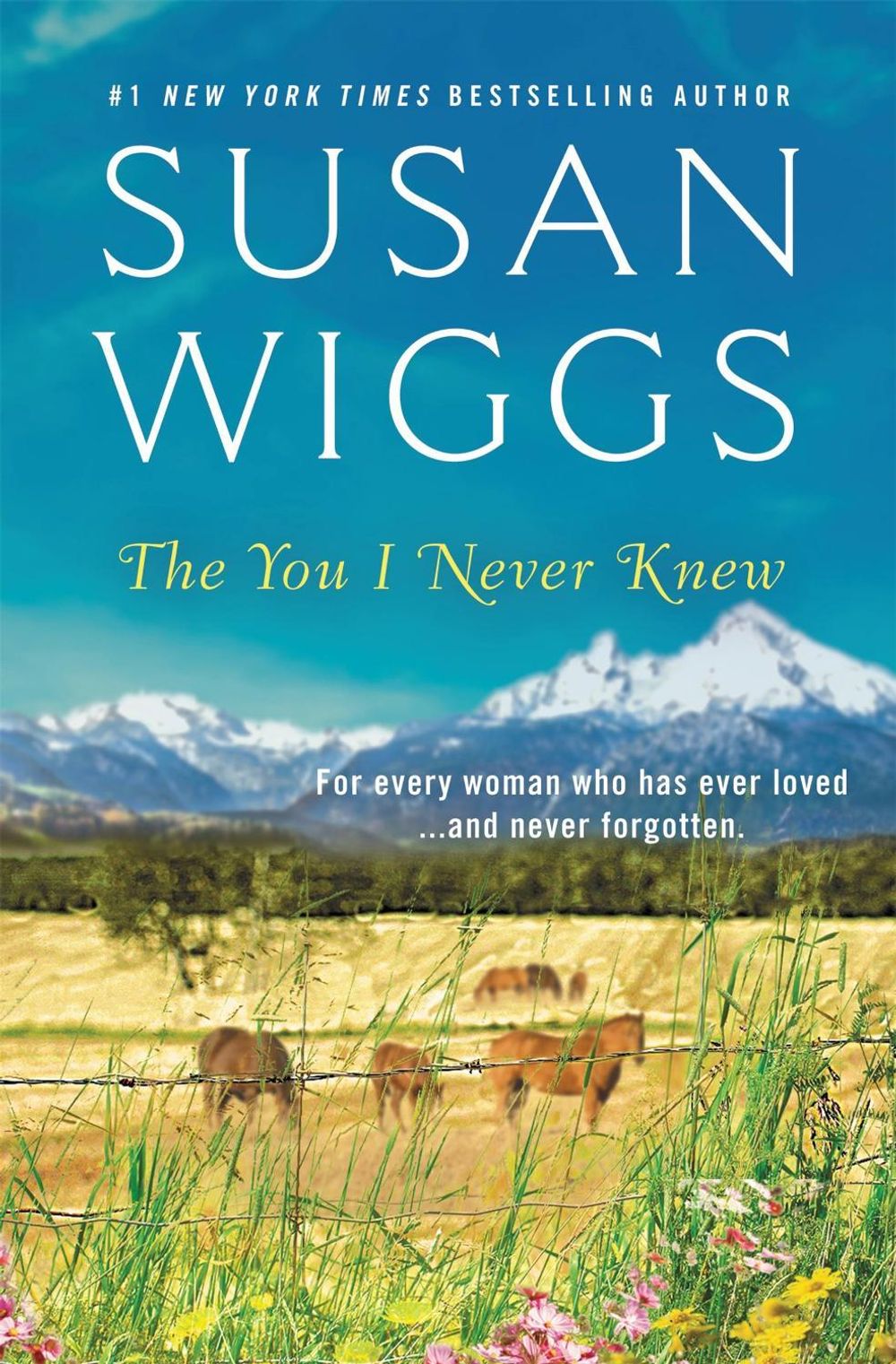 The You I Never Knew by Susan Wiggs - ISBN: 9781538761717