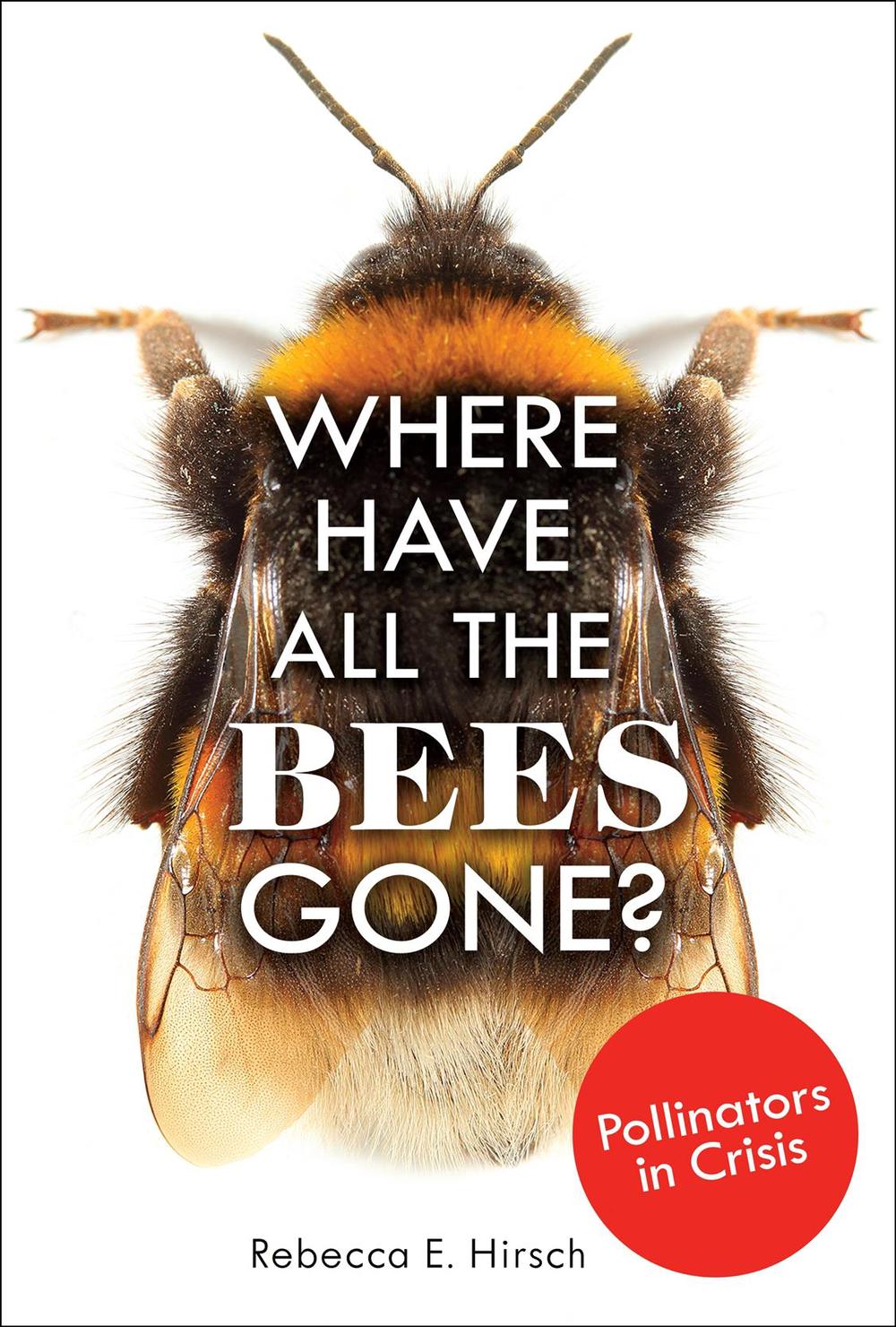 Where Have All the Bees Gone?, 9781541534636