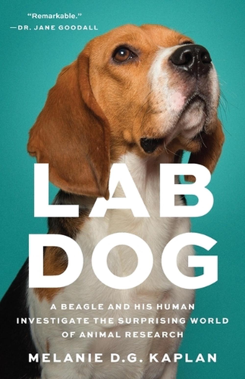 Lab Dog, 9781541604988