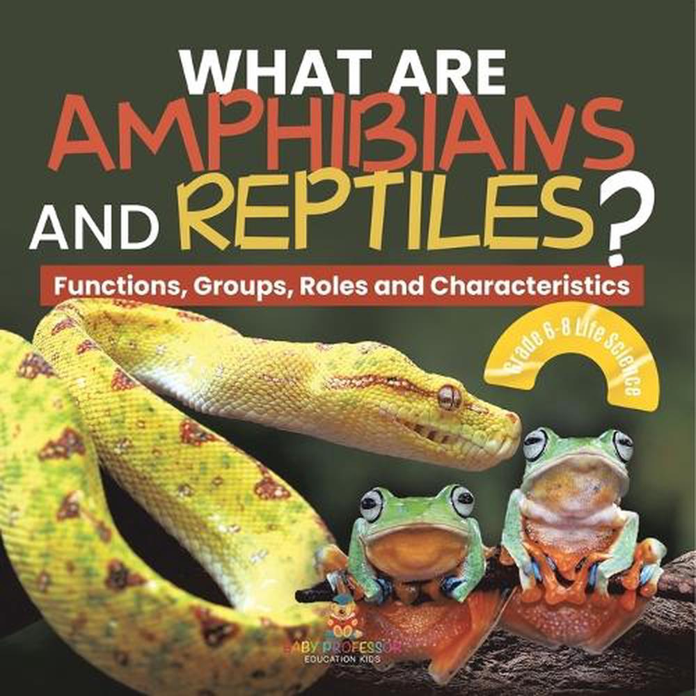 What are Amphibians and Reptiles? Functions, Groups, Roles and