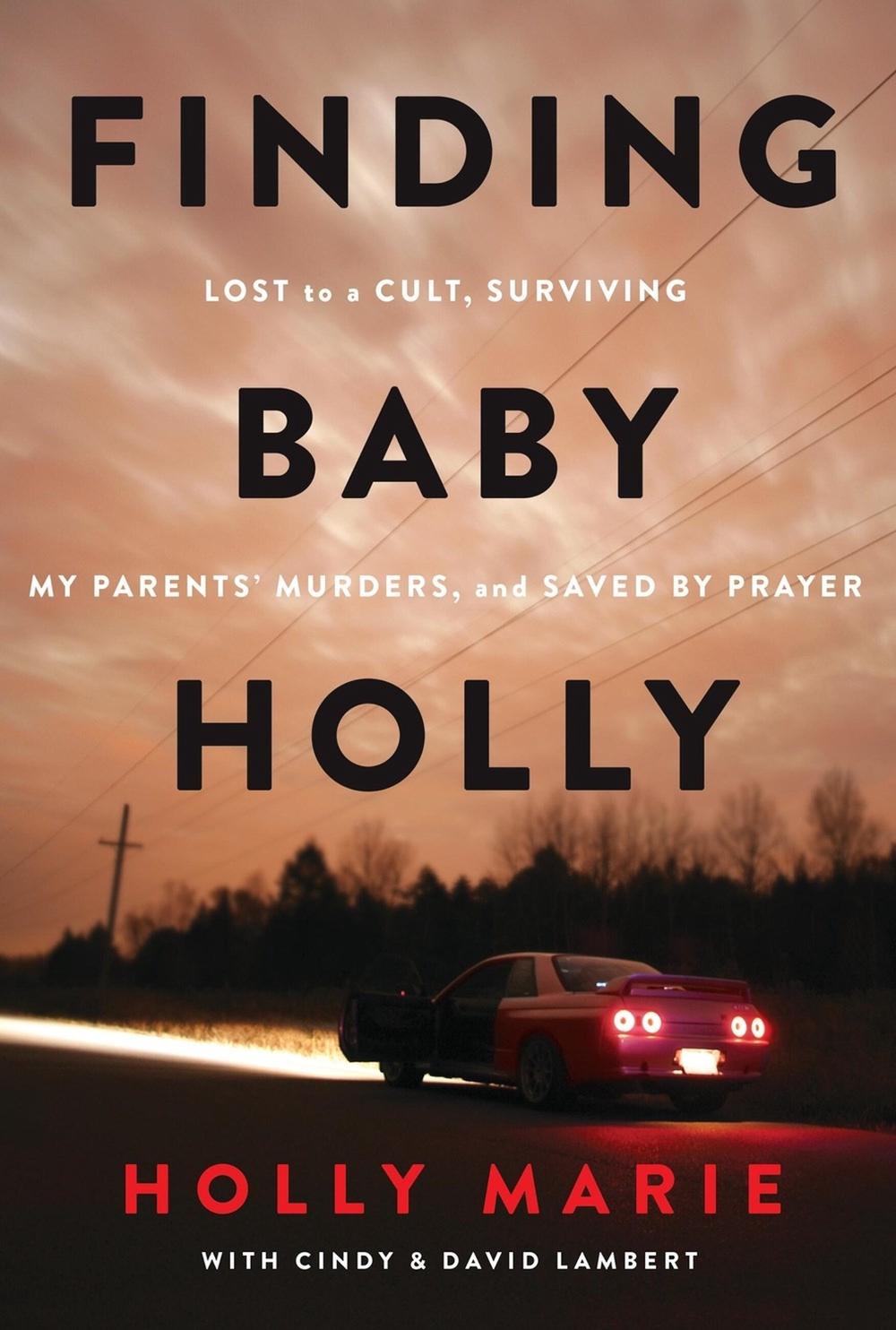 Finding Baby Holly, 9781546006480