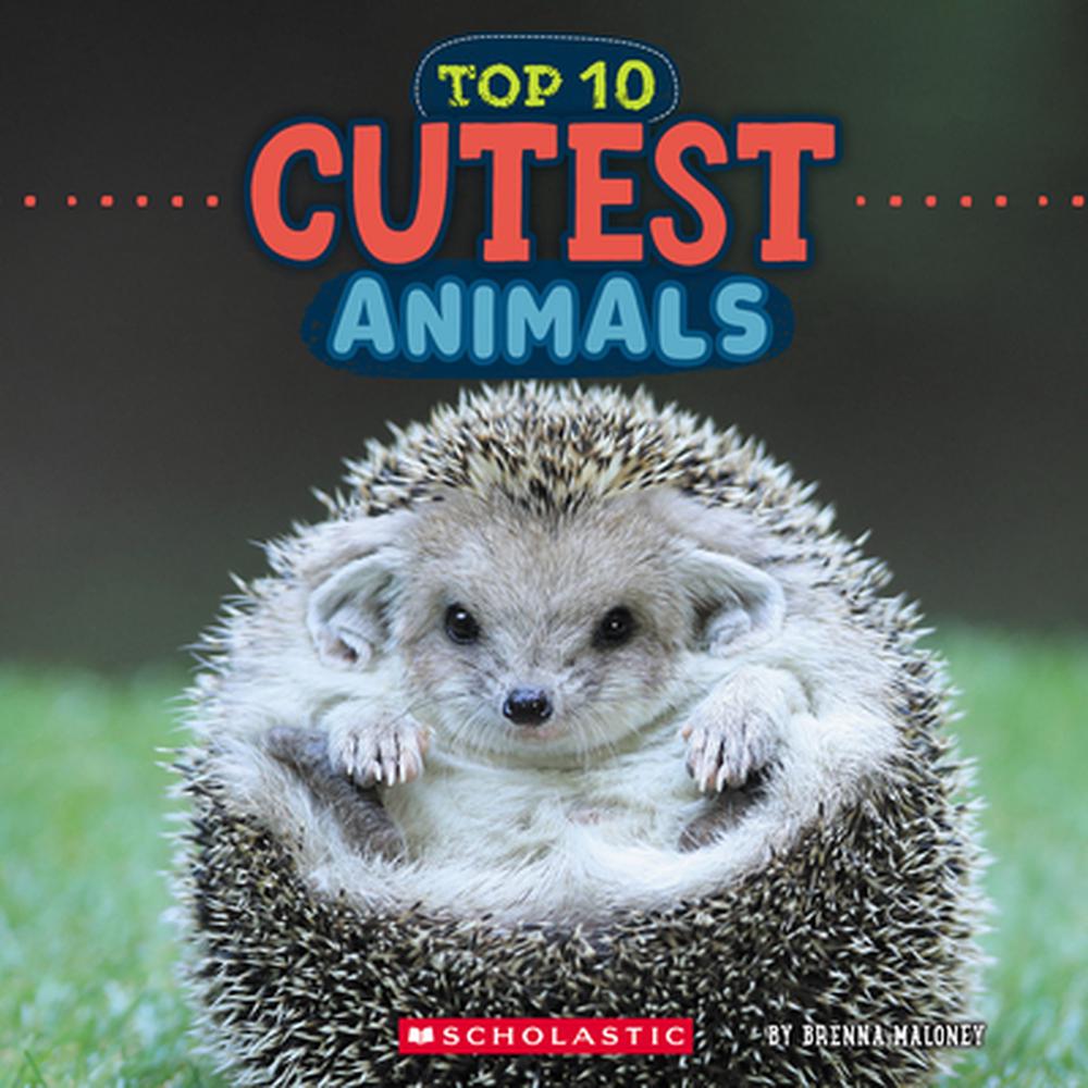 Cutest Animals (Wild World: Top 10), 9781546136125