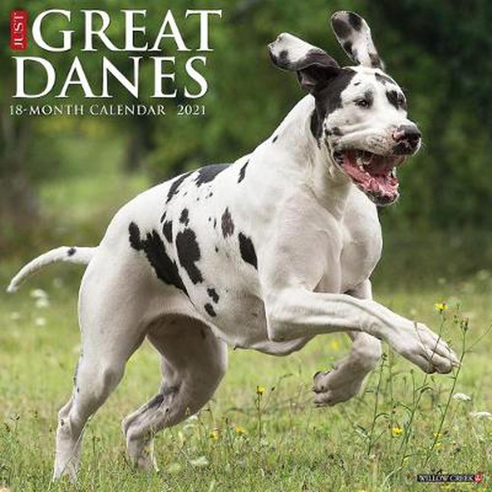 Just Great Danes 2021 Wall Calendar (Dog Breed Calendar) by Willow