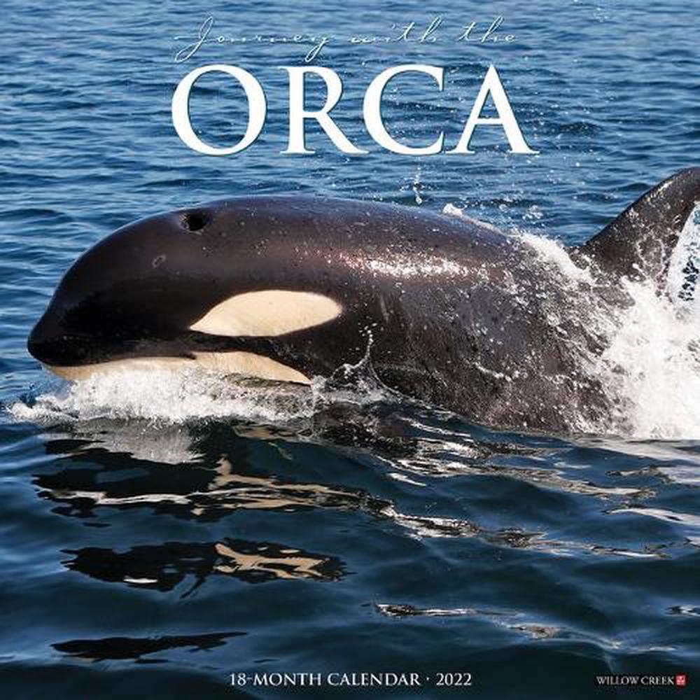 Orca (Journey with The) 2022 Wall Calendar by Willow Creek Press, Wall