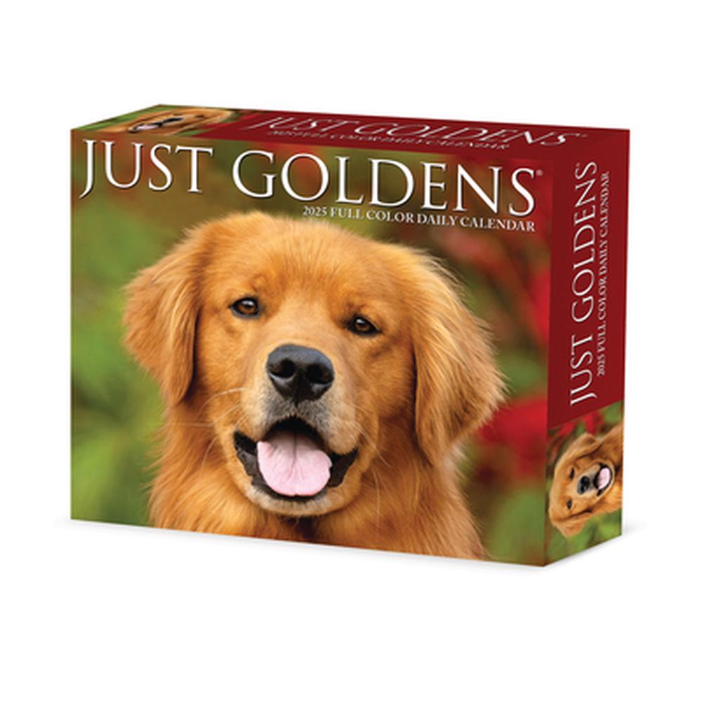 Goldens 2025 6.2 X 5.4 Box Calendar, 9781549240867