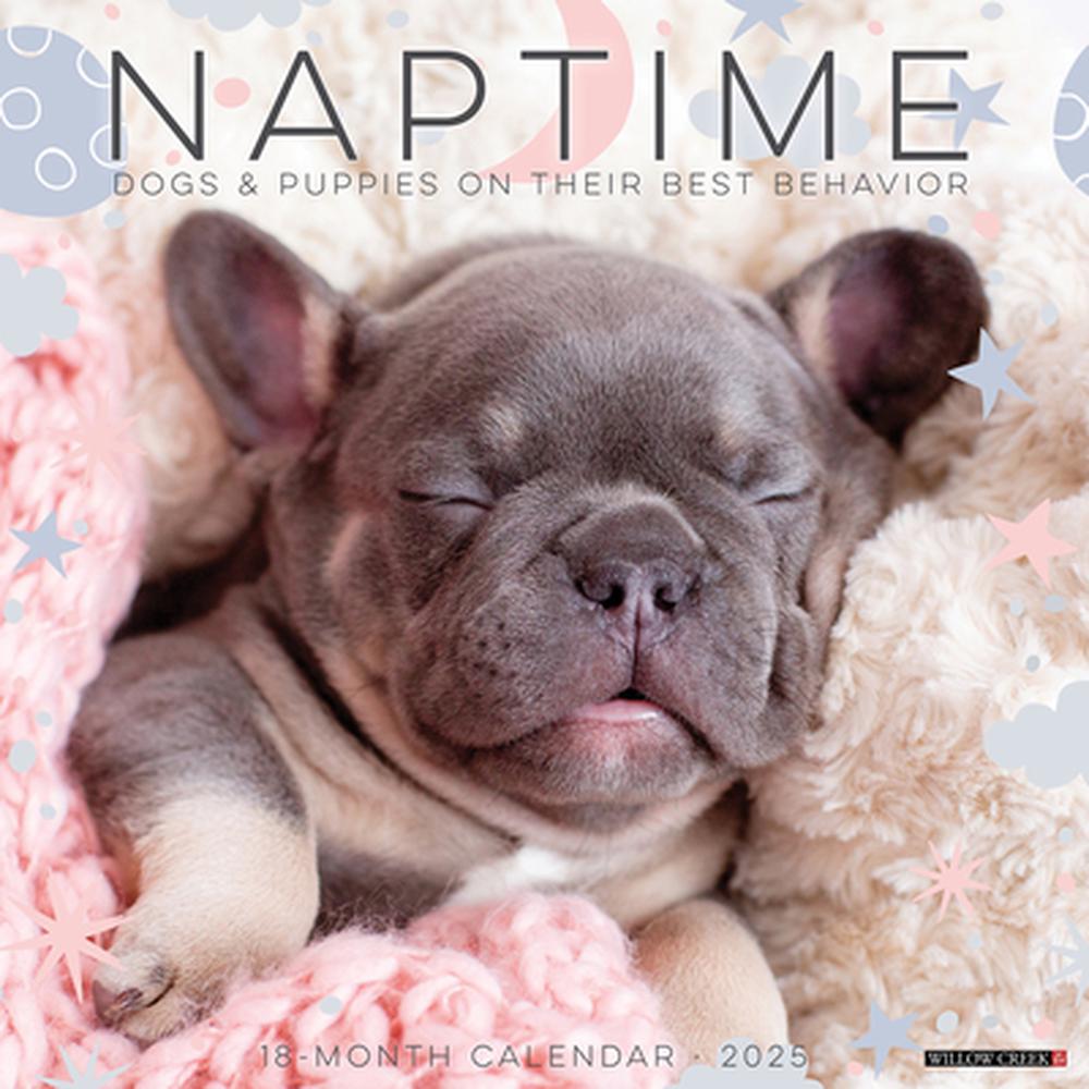Naptime (Dogs Puppies) 2025 12 X 12 Wall Calendar by Willow