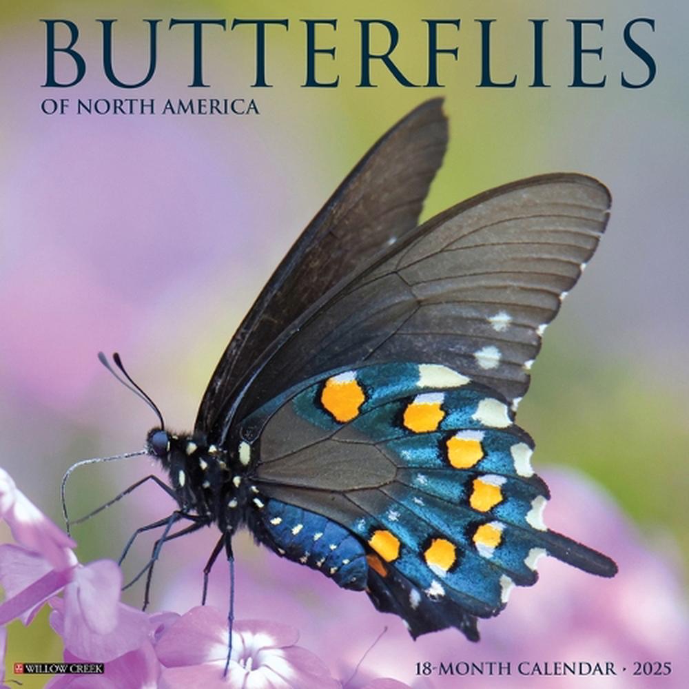 Butterflies 2026 12 X 12 Wall Calendar, 9781549250453