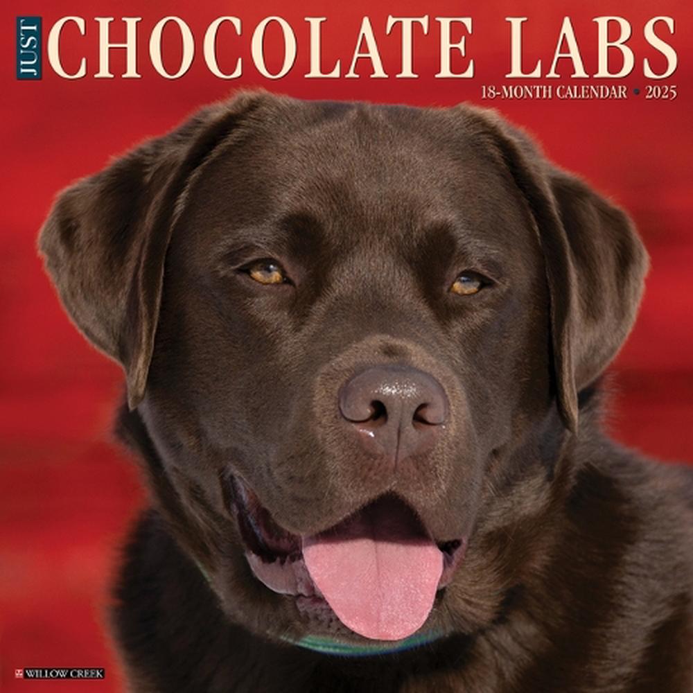 Chocolate Labs 2026 12 X 12 Wall Calendar, 9781549250705