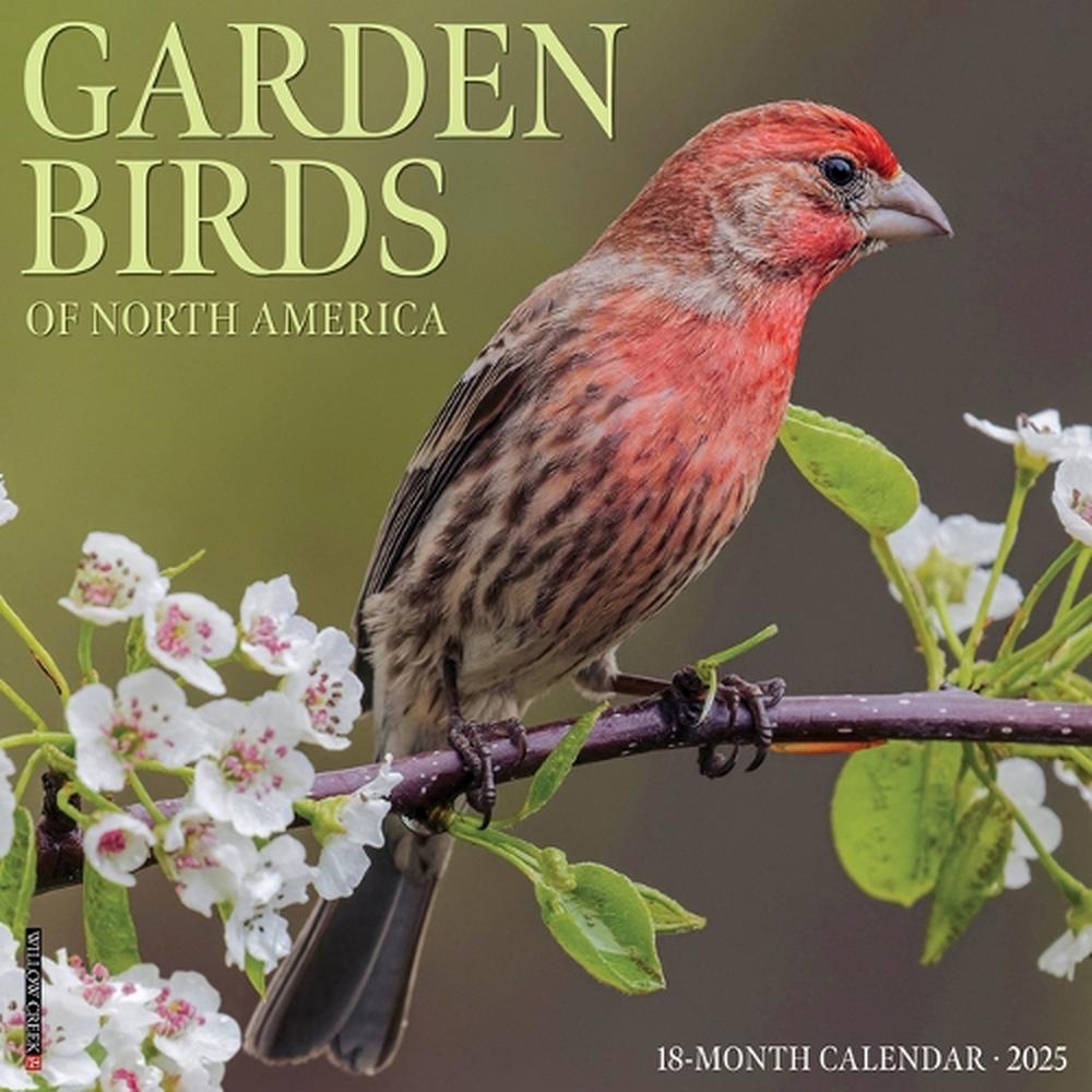 Garden Birds 2026 Wall Calendar by Willow Creek Press, 9781549251184 ...